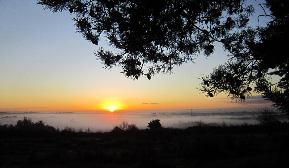 Canon PowerShot SD3500 IS (IXUS 210 / IXY 10S) sample photo. Chobham common sunrise 16 photography