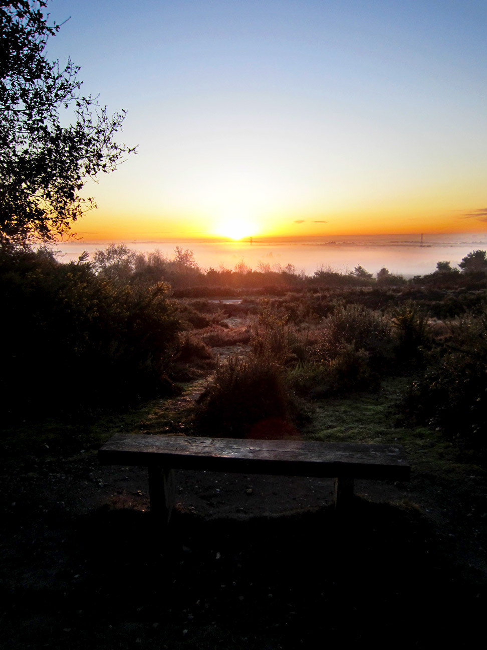 Canon PowerShot SD3500 IS (IXUS 210 / IXY 10S) sample photo. Chobham common sunrise 15 photography