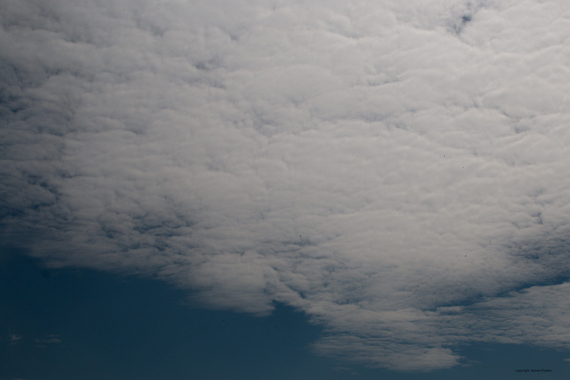 Canon EOS 70D + Canon EF 35-105mm f/4.5-5.6 sample photo. Birds in cloudy sky photography