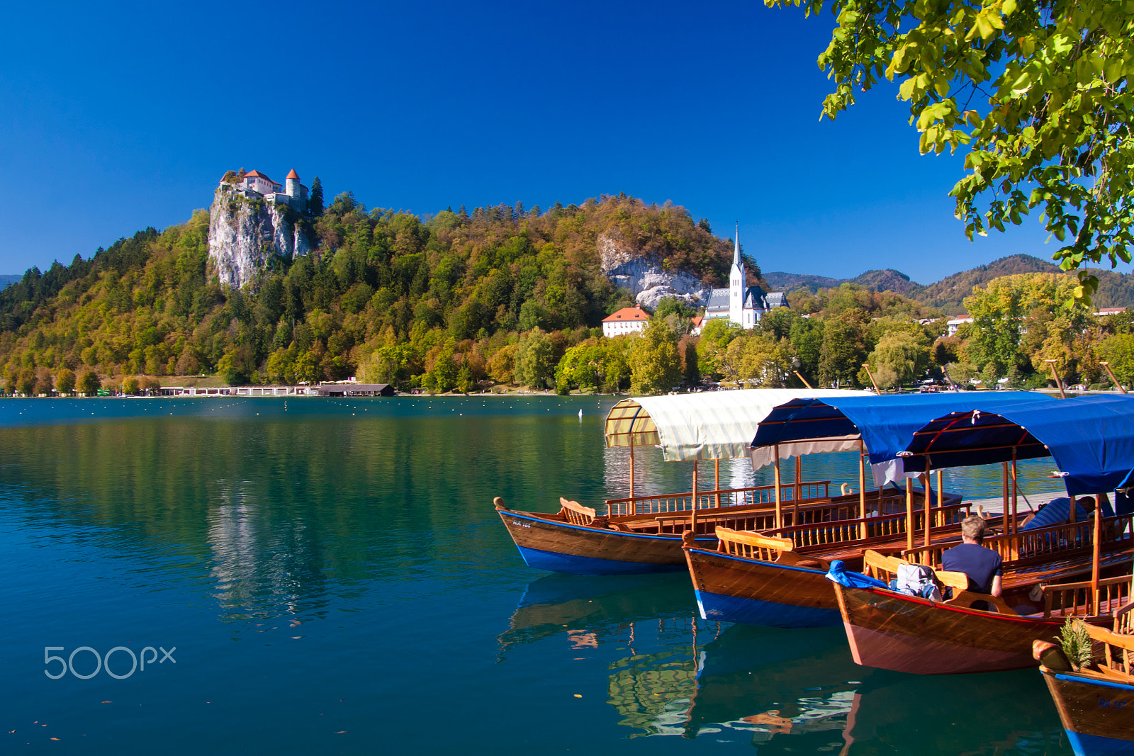 Canon EOS 50D + Sigma 18-50mm f/2.8 Macro sample photo. Traditional wooden boats on lake bled. photography
