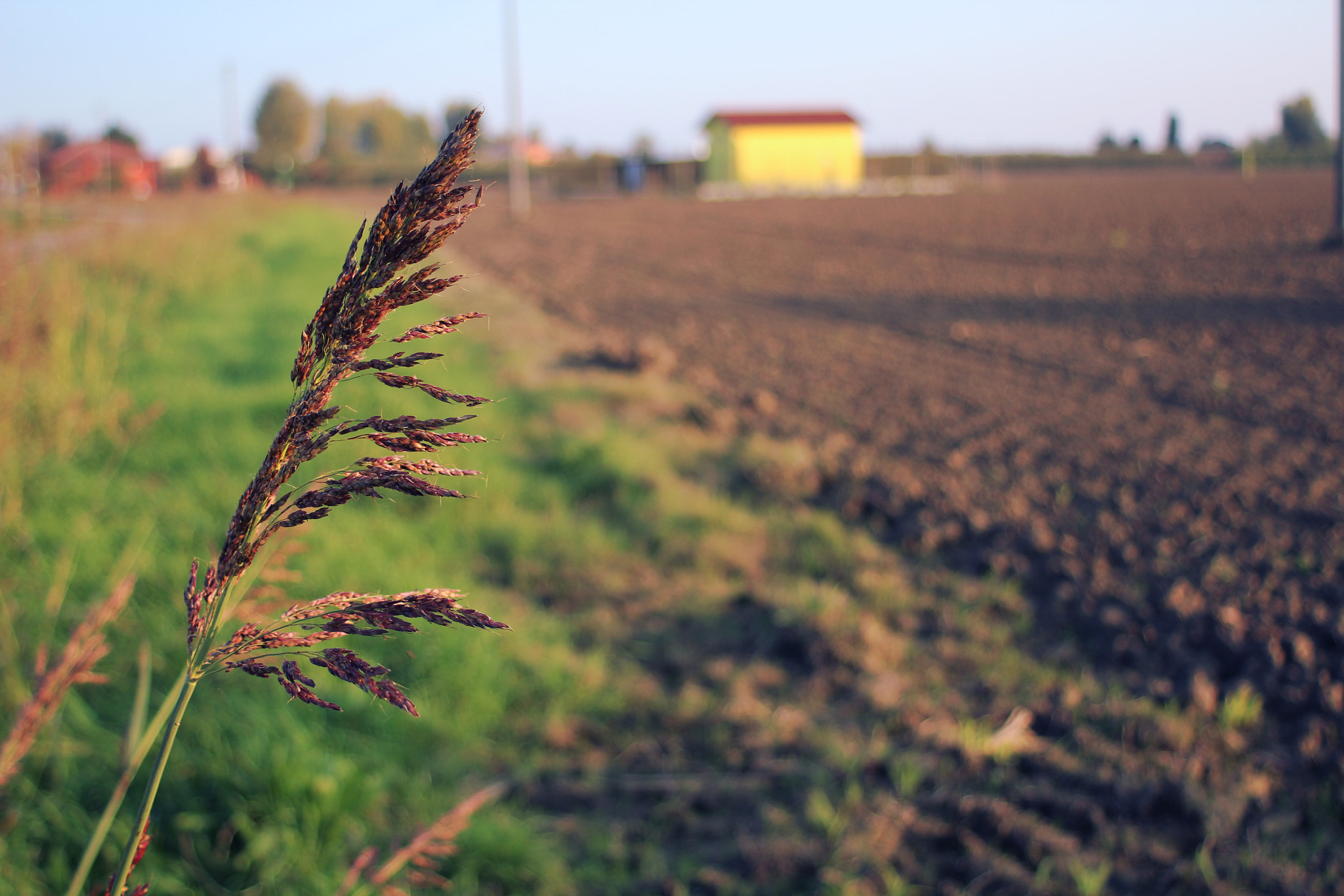 Canon EF 28-80mm f/3.5-5.6 USM IV sample photo. Nature photography
