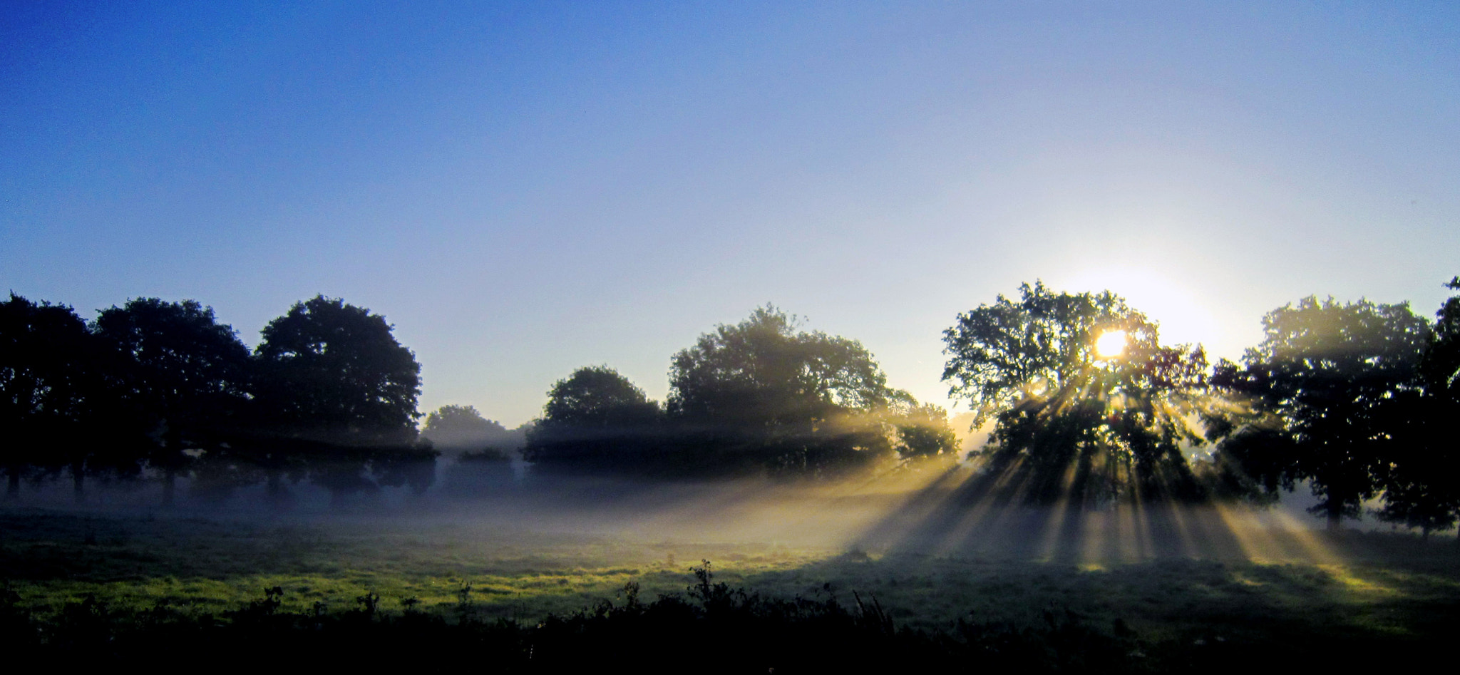 Canon PowerShot SD3500 IS (IXUS 210 / IXY 10S) sample photo. Chobham common sunrise 10 photography