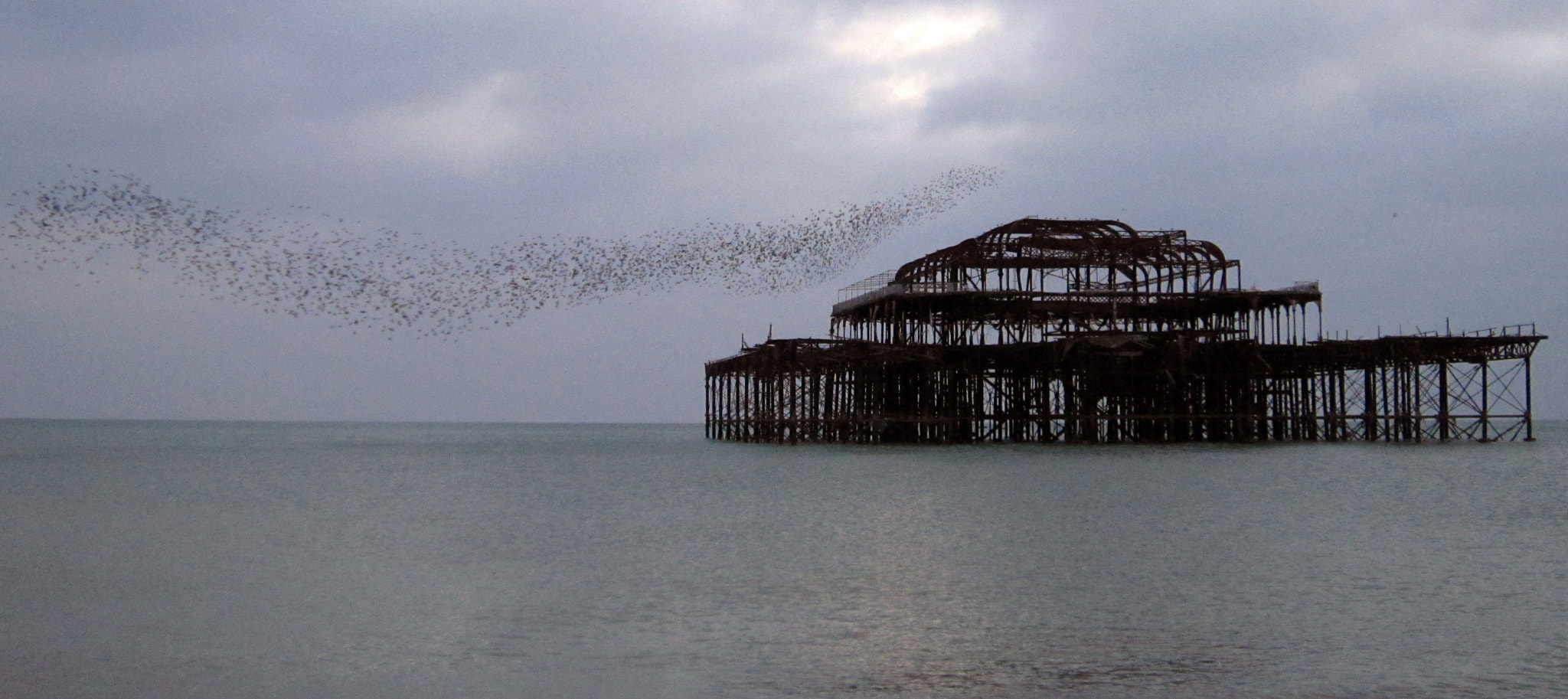 Canon PowerShot SD3500 IS (IXUS 210 / IXY 10S) sample photo. Brighton west pier starlings photography