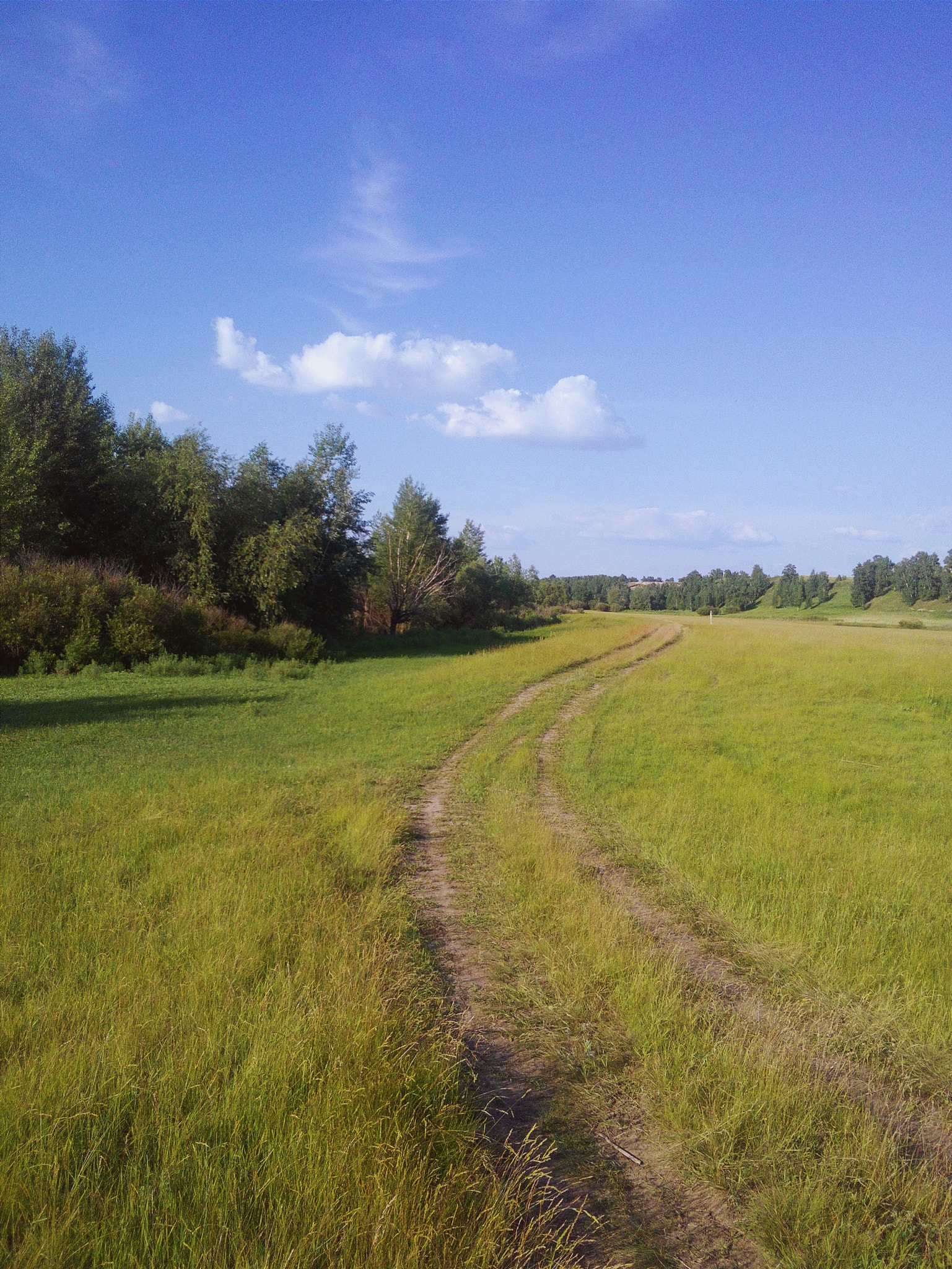 HUAWEI Y541-U02 sample photo. "the road goes into the distance." photography