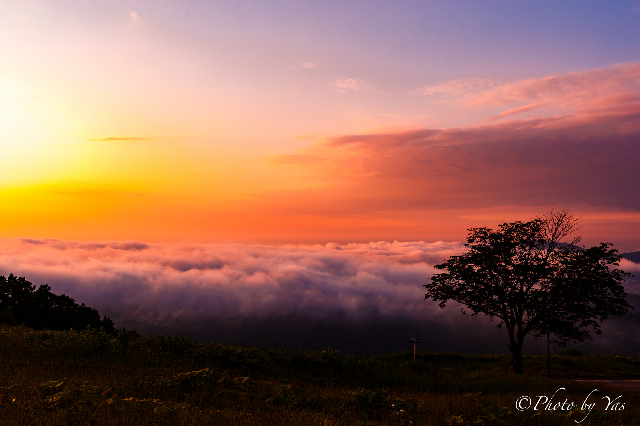 Canon EOS 6D + ZEISS Distagon T* 35mm F1.4 sample photo. A sea of clouds and gradation photography