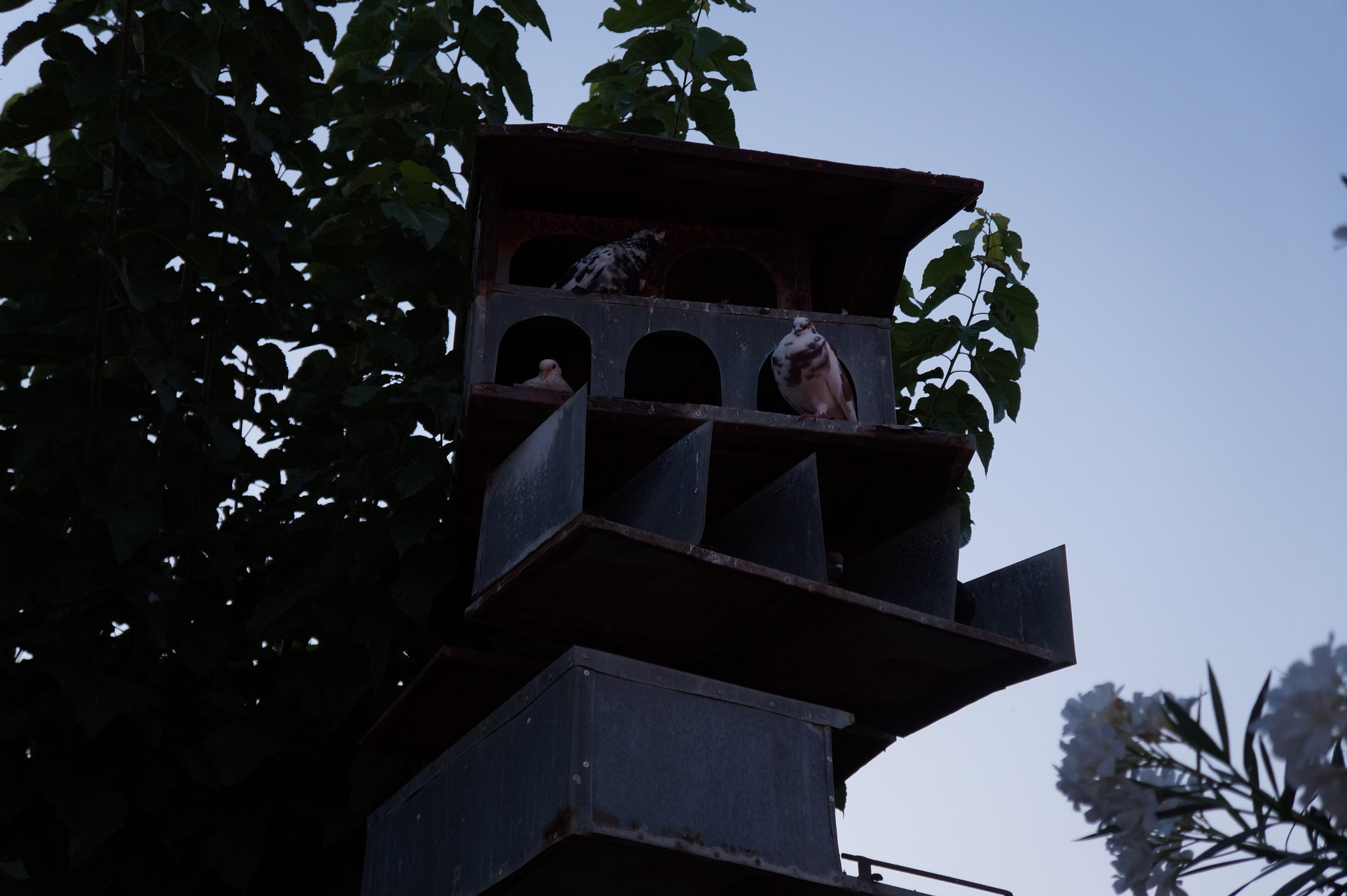 Tamron 18-200mm F3.5-6.3 Di III VC sample photo. Cozy home photography