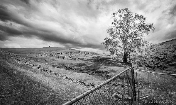 Sigma 8-16mm F4.5-5.6 DC HSM sample photo. Loan gum photography
