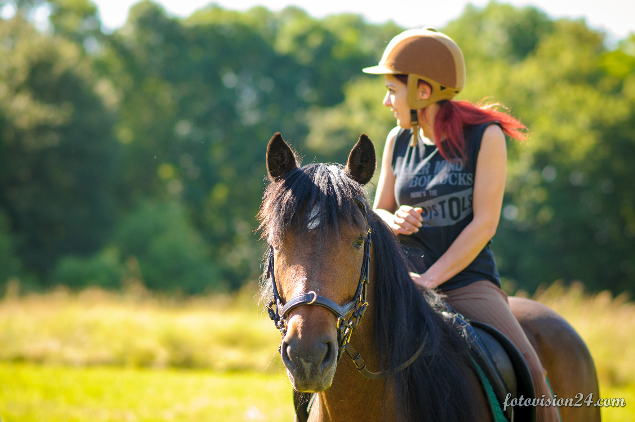 Nikon D300S + Nikon AF-S Nikkor 85mm F1.8G sample photo. Nice brown horse photography