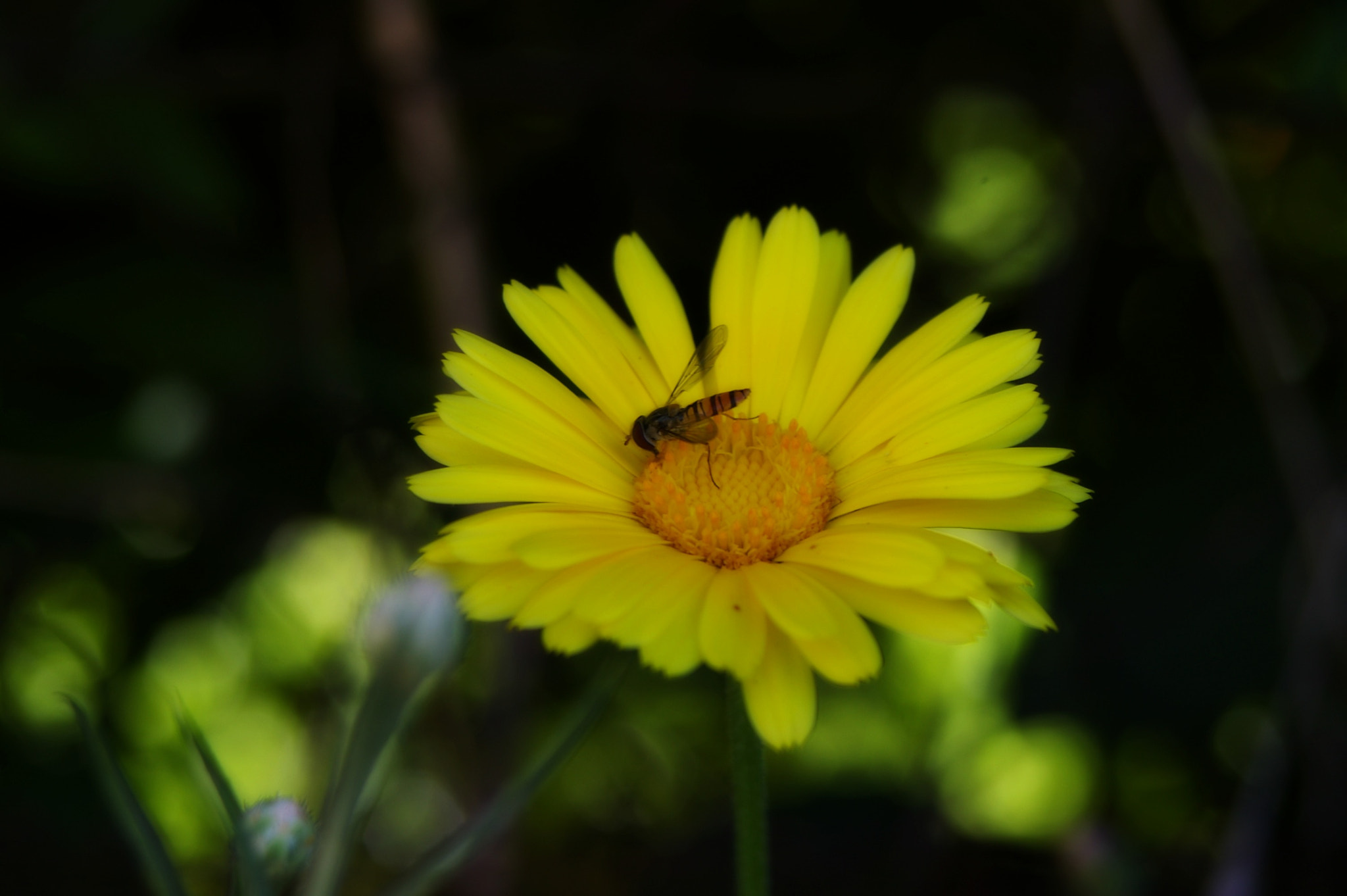 smc PENTAX-FA J 28-80mm F3.5-5.6 AL sample photo. Untitled photography