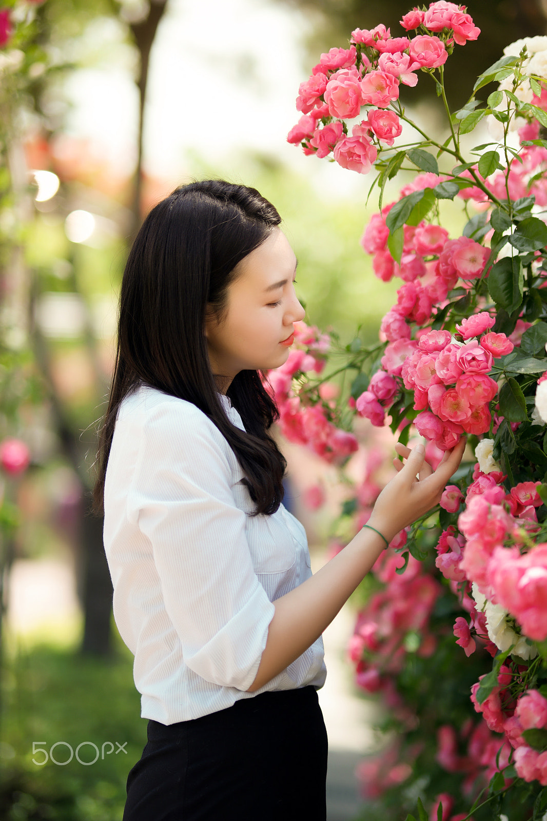 Samsung NX 85mm F1.4 ED SSA sample photo. 2016's seoul roses festival. photography