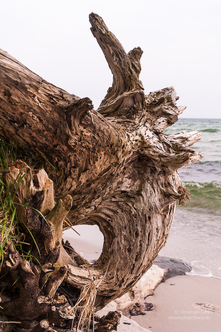 Sigma 17-70mm F2.8-4 DC Macro OS HSM | C sample photo. Alien photography
