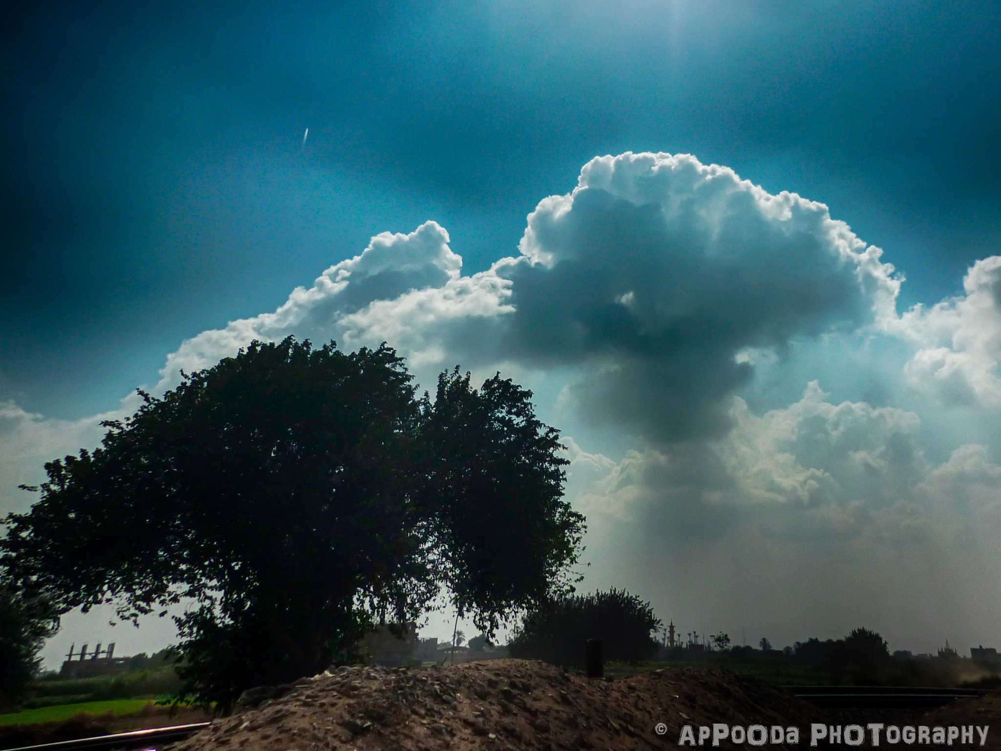 Panasonic DMC-FS62 sample photo. Tree and clouds photography