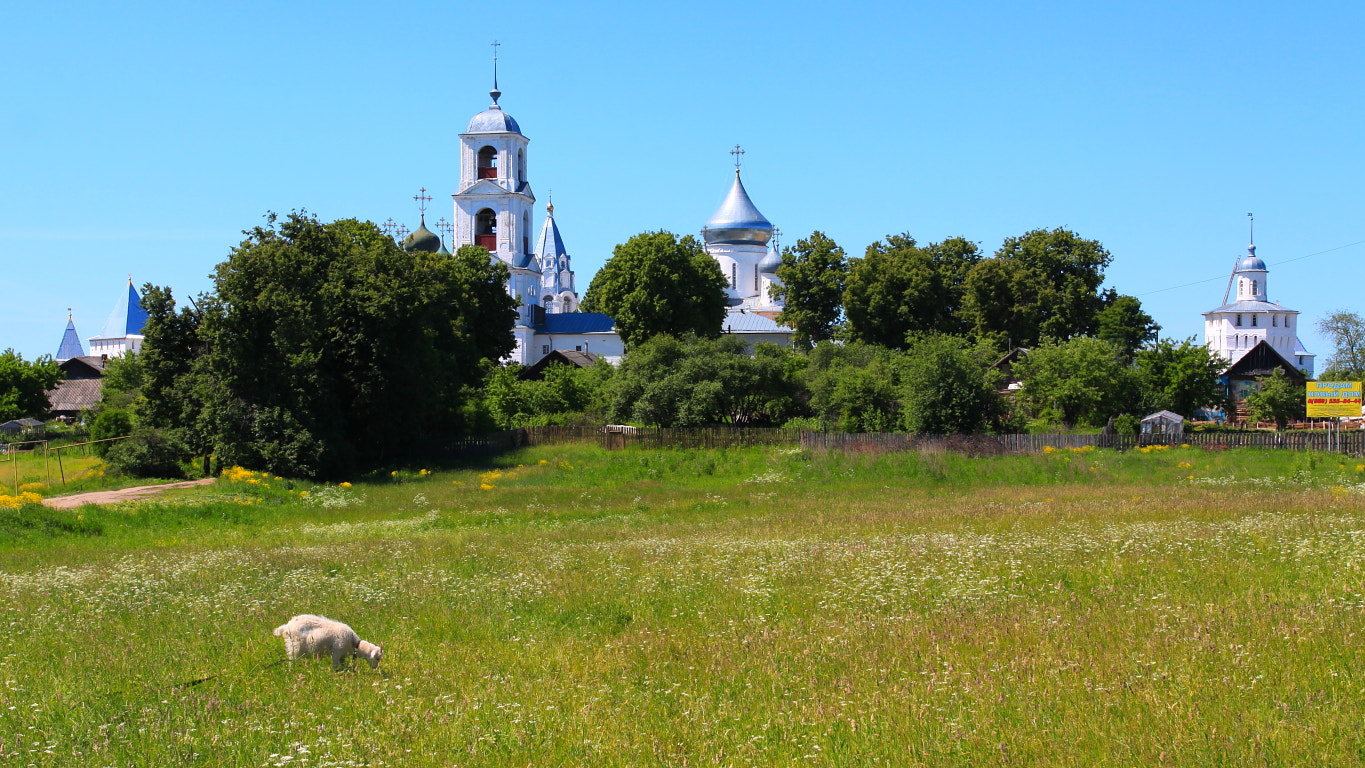 Canon EF 17-40mm F4L USM sample photo. Никитский монастырь. Переславль-Залесский. Россия. photography