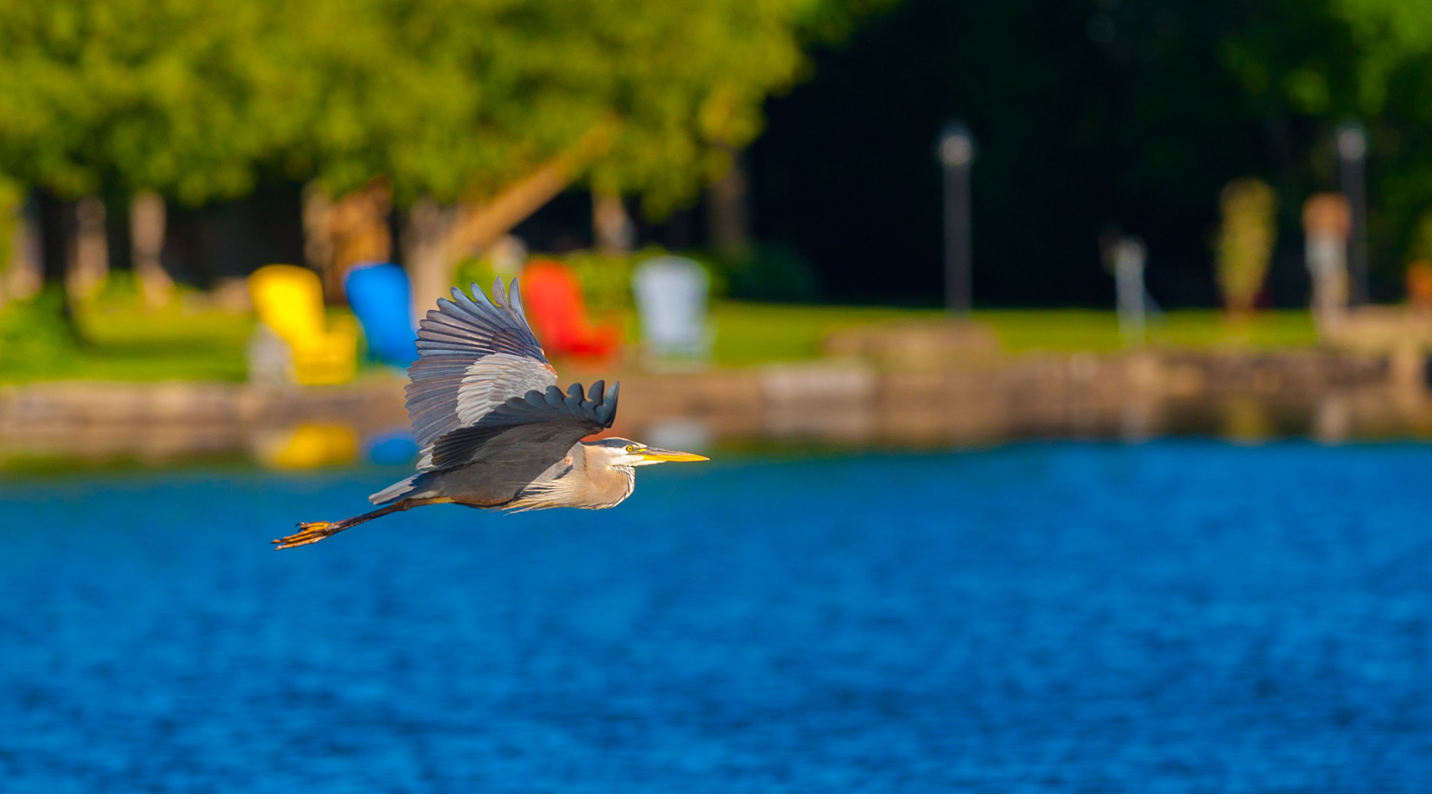 Canon EF 300mm F2.8L IS II USM sample photo. Low level pass photography