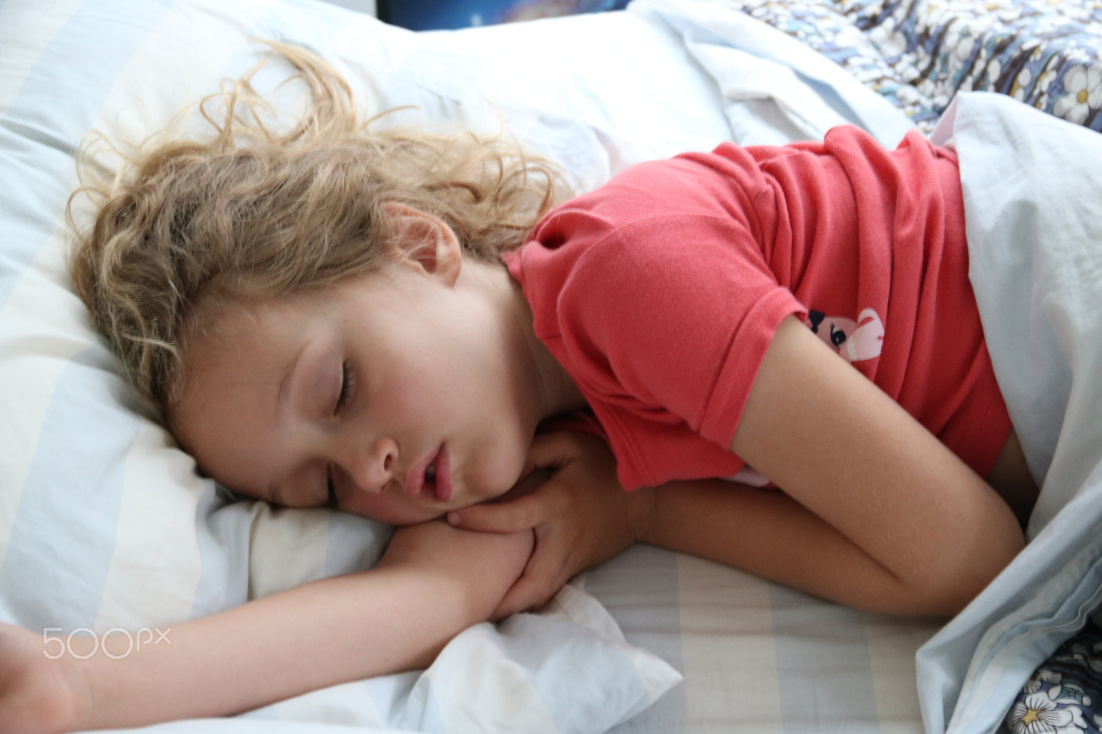 Canon EOS 750D (EOS Rebel T6i / EOS Kiss X8i) sample photo. Nap photography