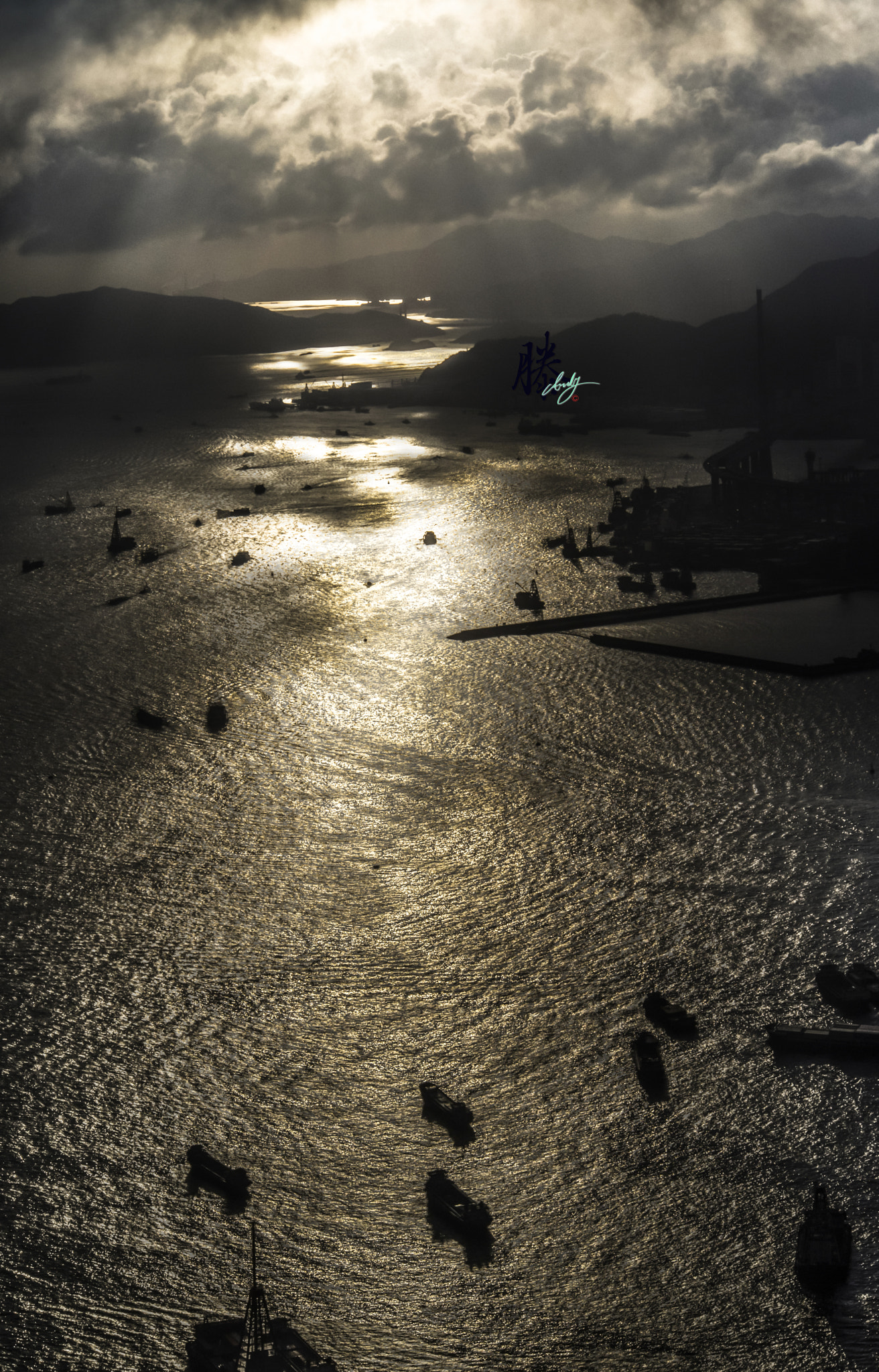 Nikon D610 + AF Nikkor 70-210mm f/4-5.6 sample photo. Hk gold dragon photography