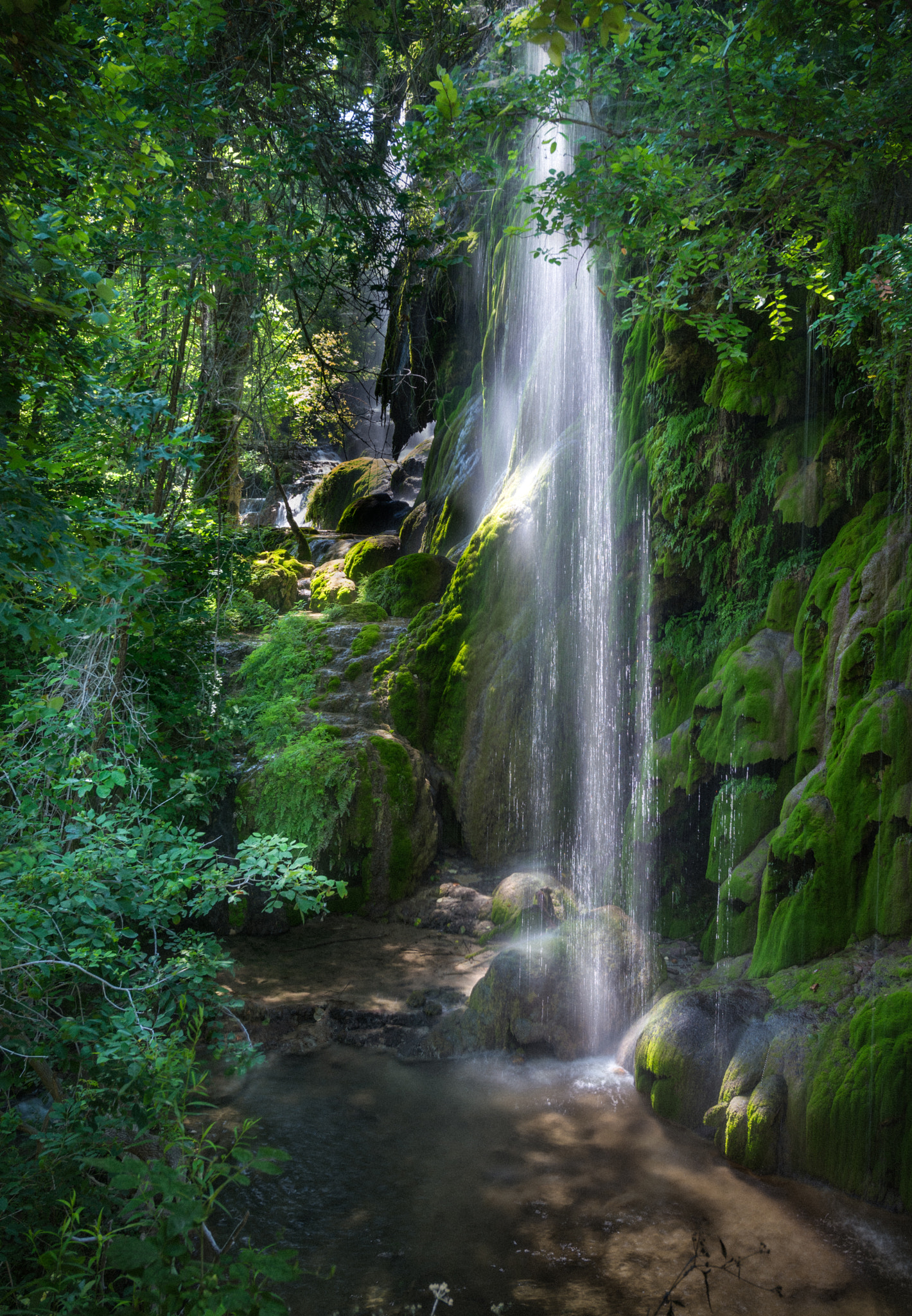 Nikon AF-S Nikkor 14-24mm F2.8G ED sample photo. Water dance photography