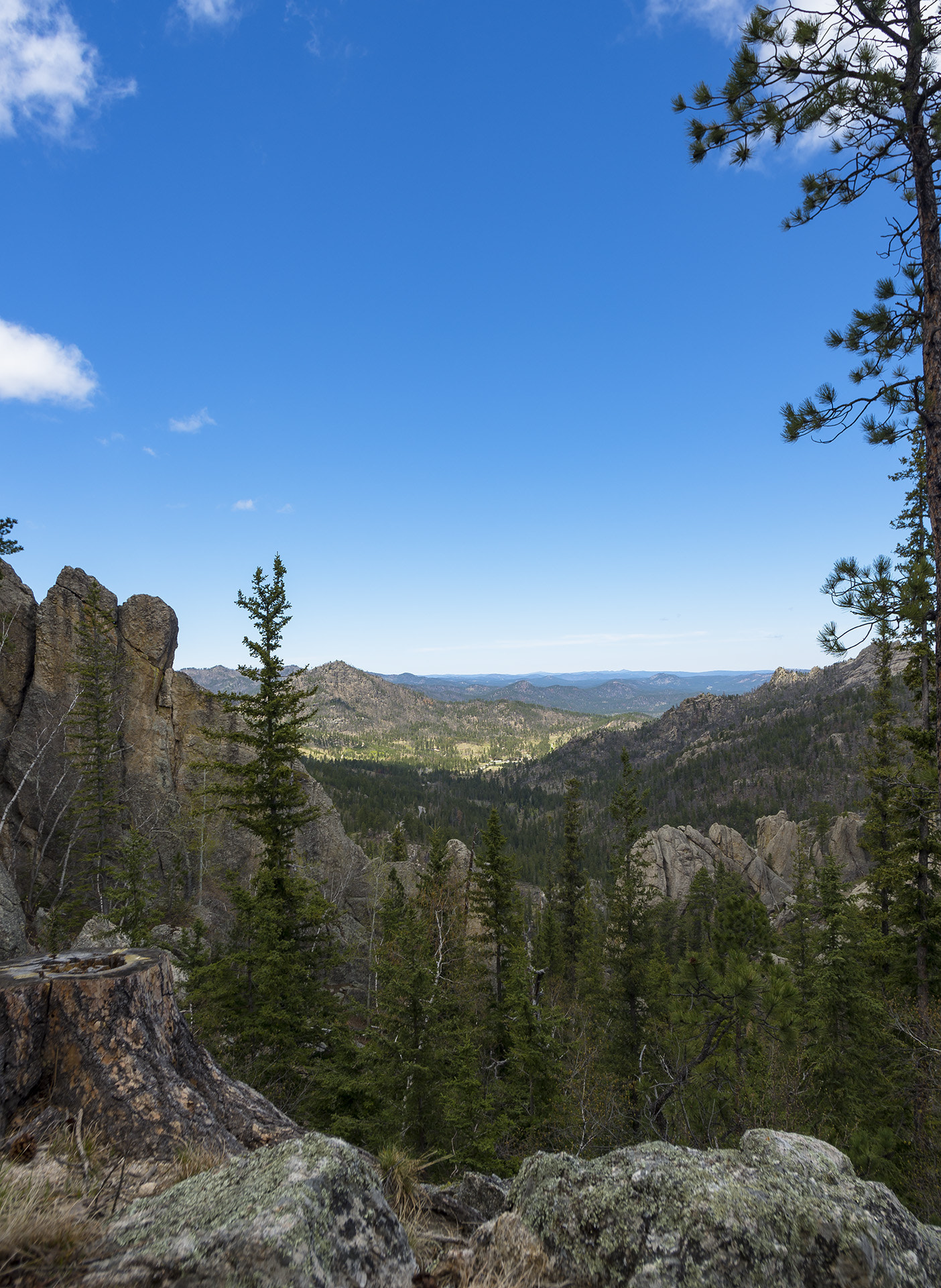 Pentax K-5 IIs + Pentax smc DA 15mm F4 ED AL Limited sample photo. Along the sunday gulch trail photography