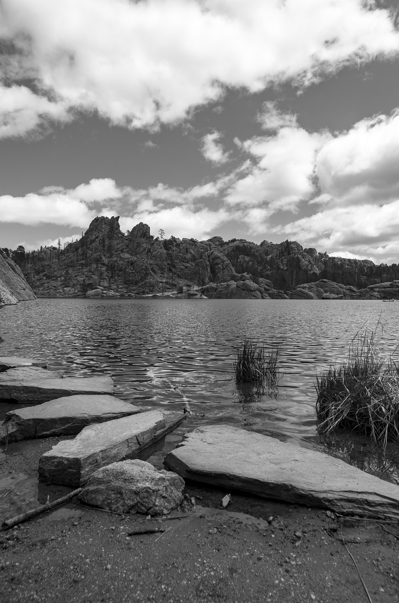 Pentax smc DA 15mm F4 ED AL Limited sample photo. Sylvan lake stepping stones b&w photography