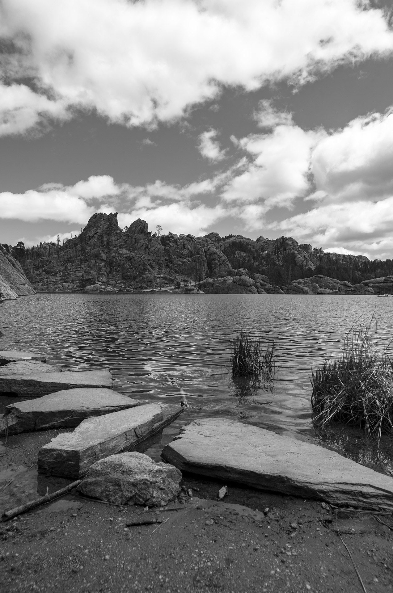 Pentax K-5 IIs + Pentax smc DA 15mm F4 ED AL Limited sample photo. Sylvan lake stepping stones b&w photography