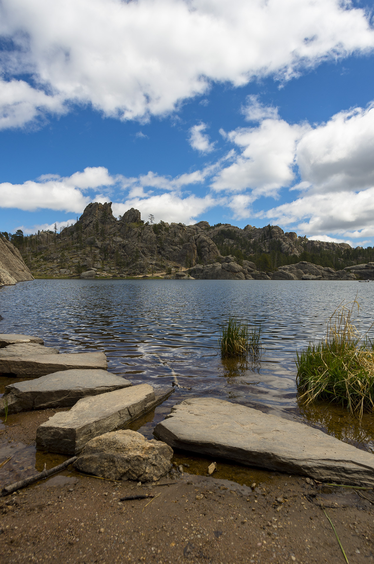 Pentax smc DA 15mm F4 ED AL Limited sample photo. Sylvan lake stepping stones photography