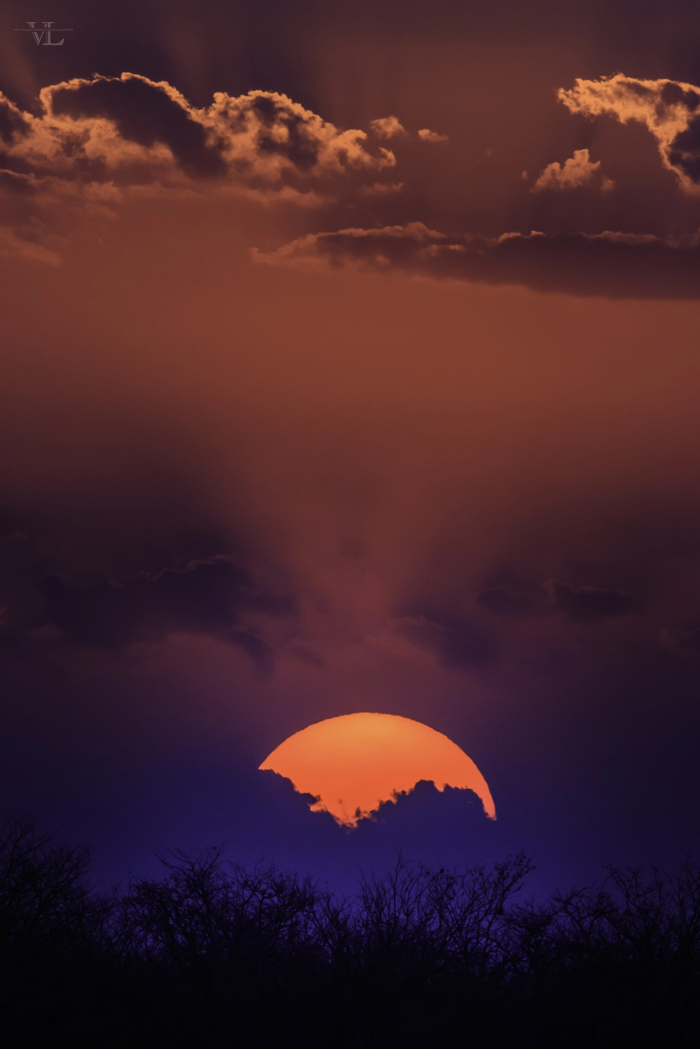 Canon EF 600mm f/4L IS sample photo. Sunset photography