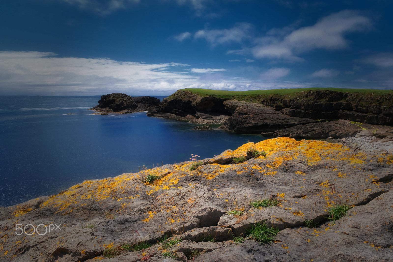 Saumsun NX 16-50mm F2-2.8 S ED OIS sample photo. Spring in ireland photography