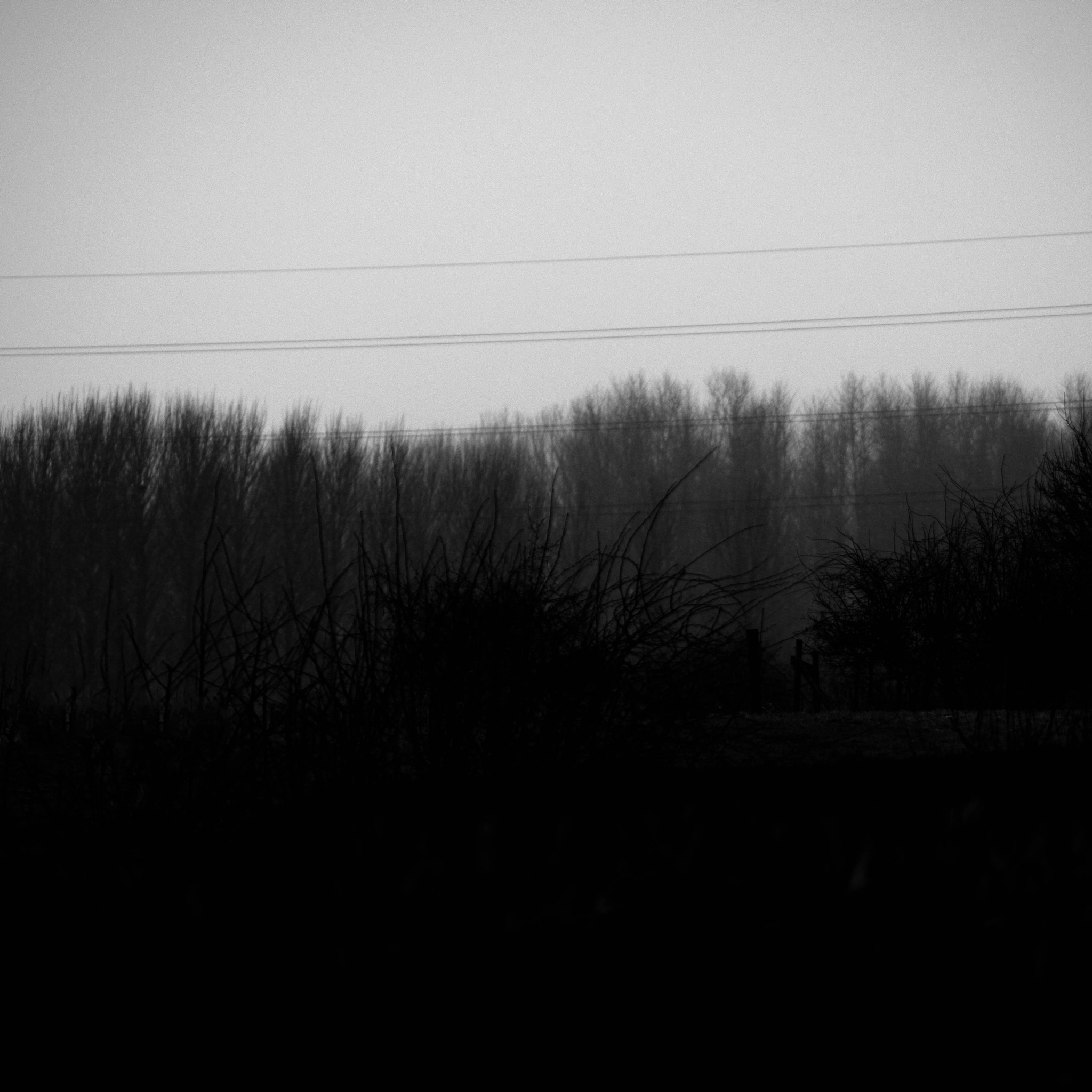 Sony SLT-A35 sample photo. Untitled 6 (be the green grass above me) photography