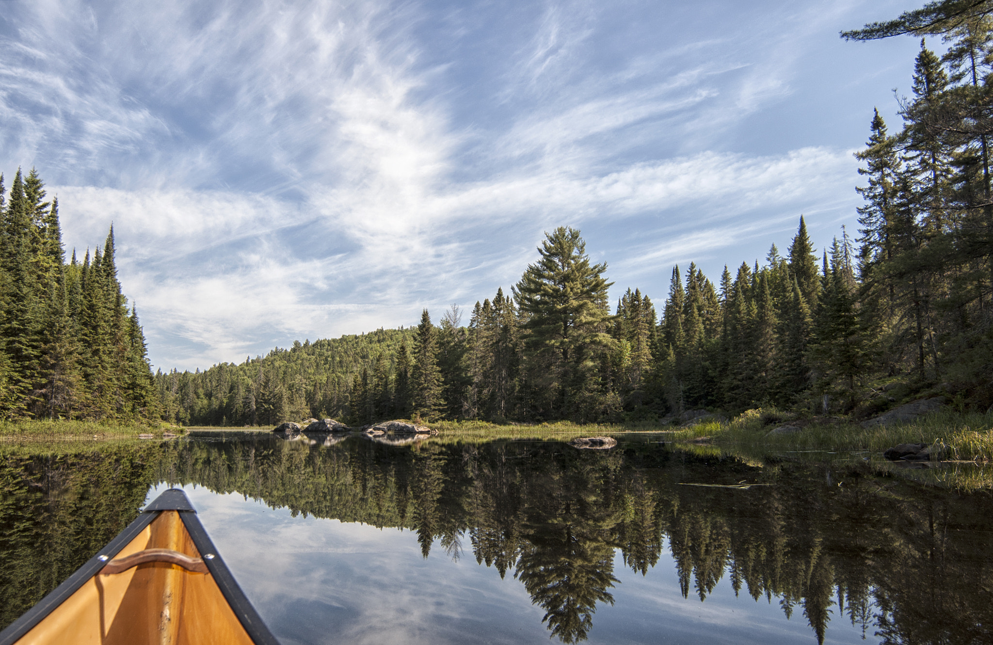 Nikon D50 sample photo. Algonquin adventure photography