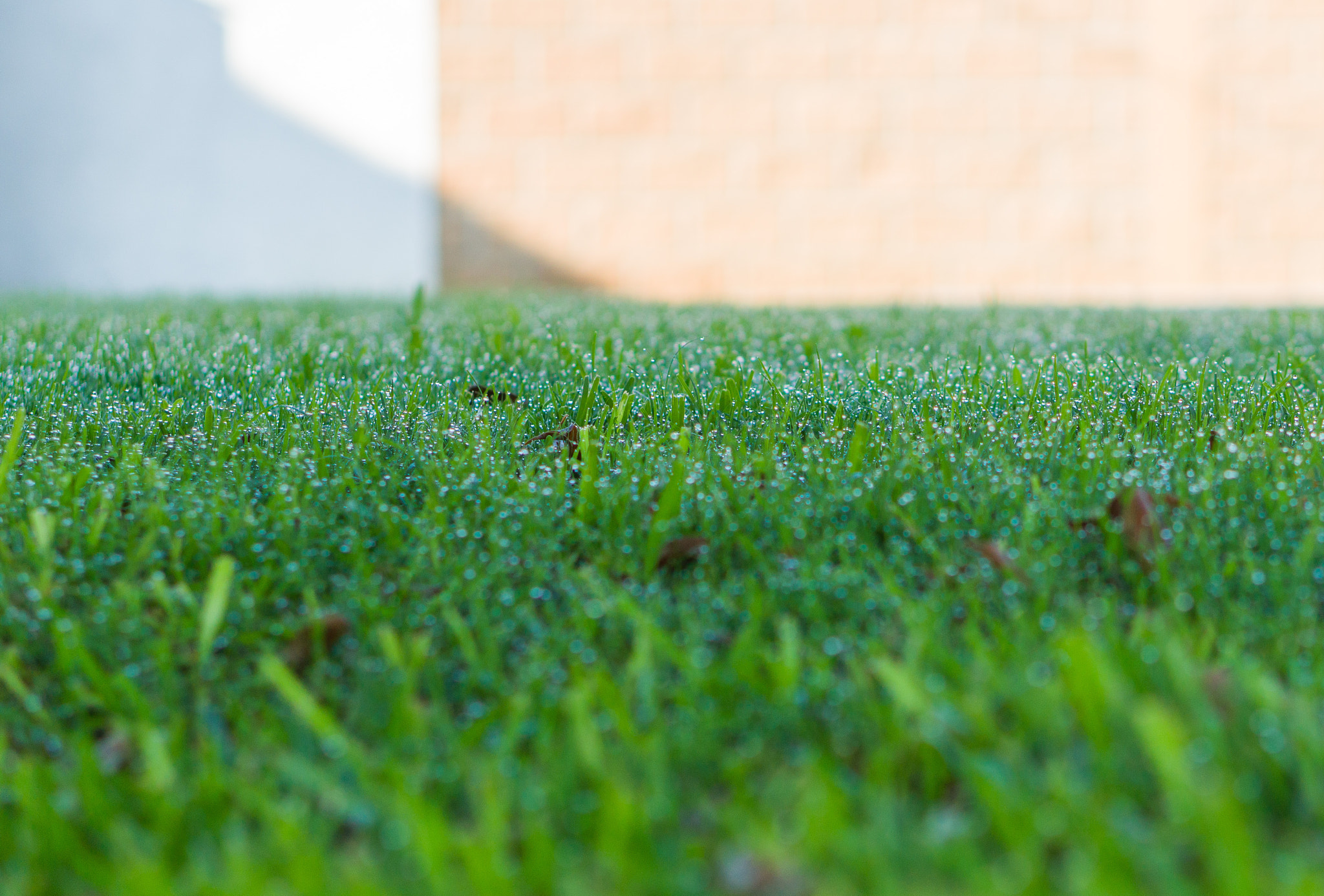 Sony Alpha a3500 sample photo. Rule of thirds photography