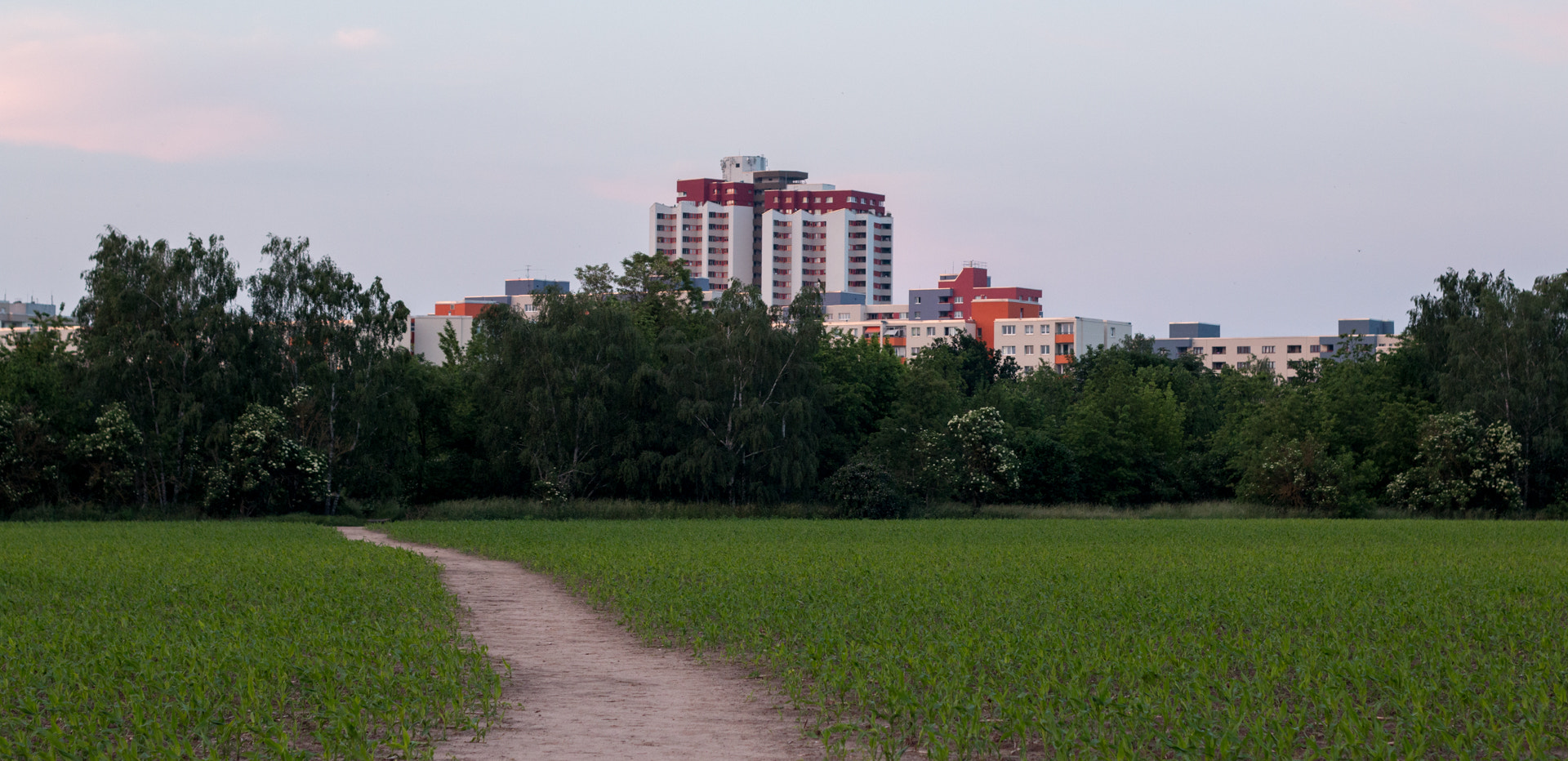 Canon EOS 70D + Canon EF 50mm f/1.8 sample photo. Path to suburban living area photography