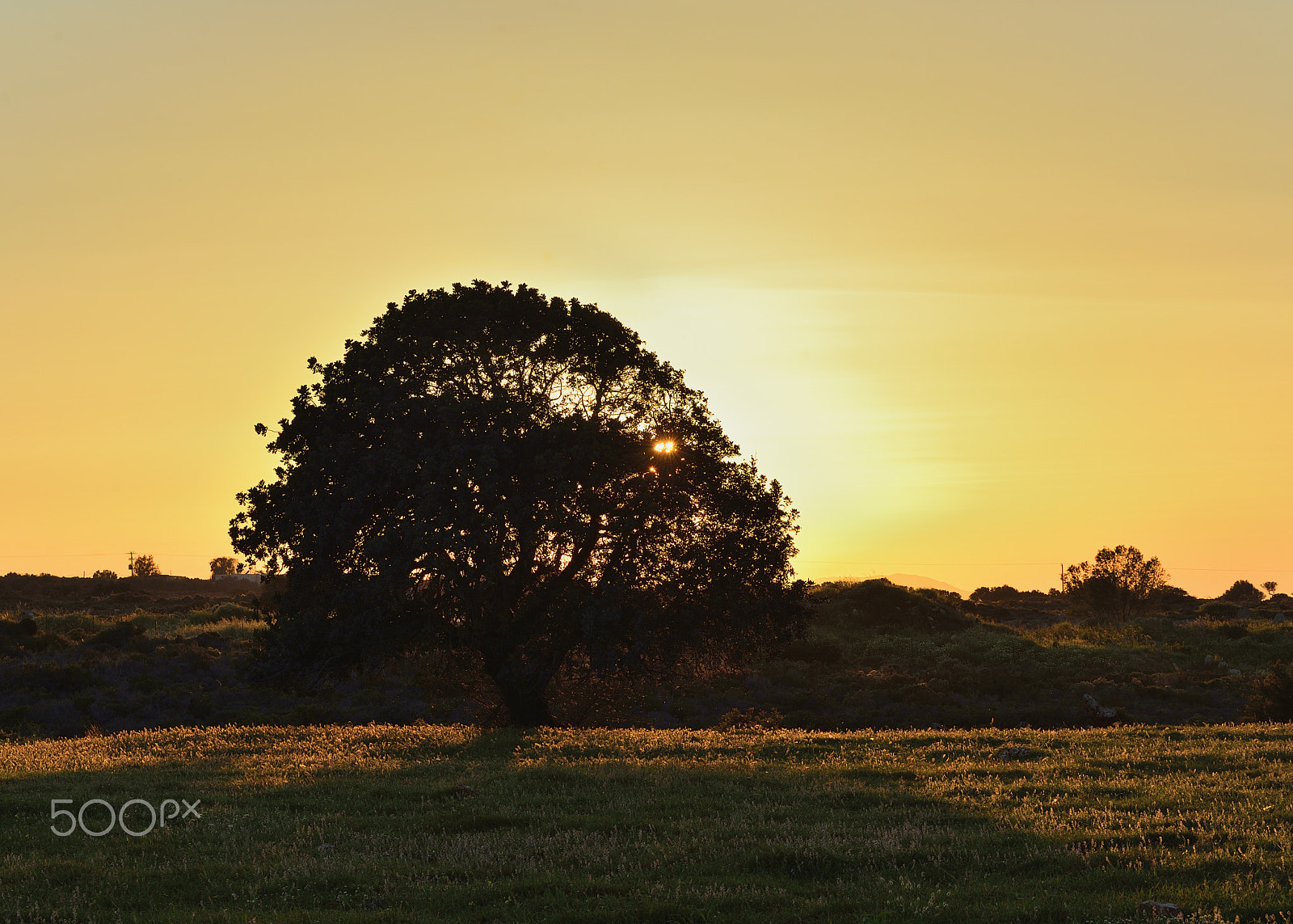 Nikon D600 sample photo. Solitude photography
