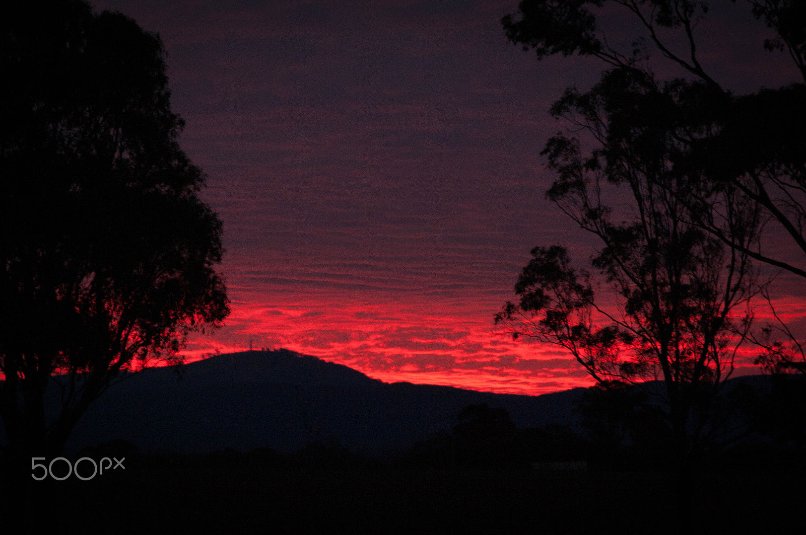Pentax K-7 + Sigma sample photo. Sunset melton photography