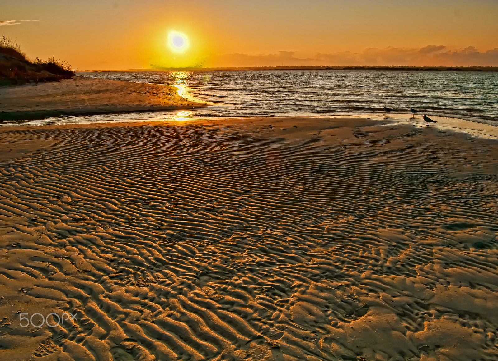 Nikon D300S sample photo. Sunset sand ripples photography