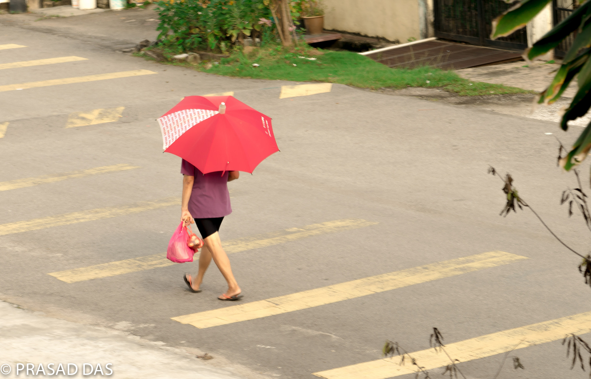 Nikon AF-S Micro-Nikkor 105mm F2.8G IF-ED VR sample photo. Umbrella lady back from market photography