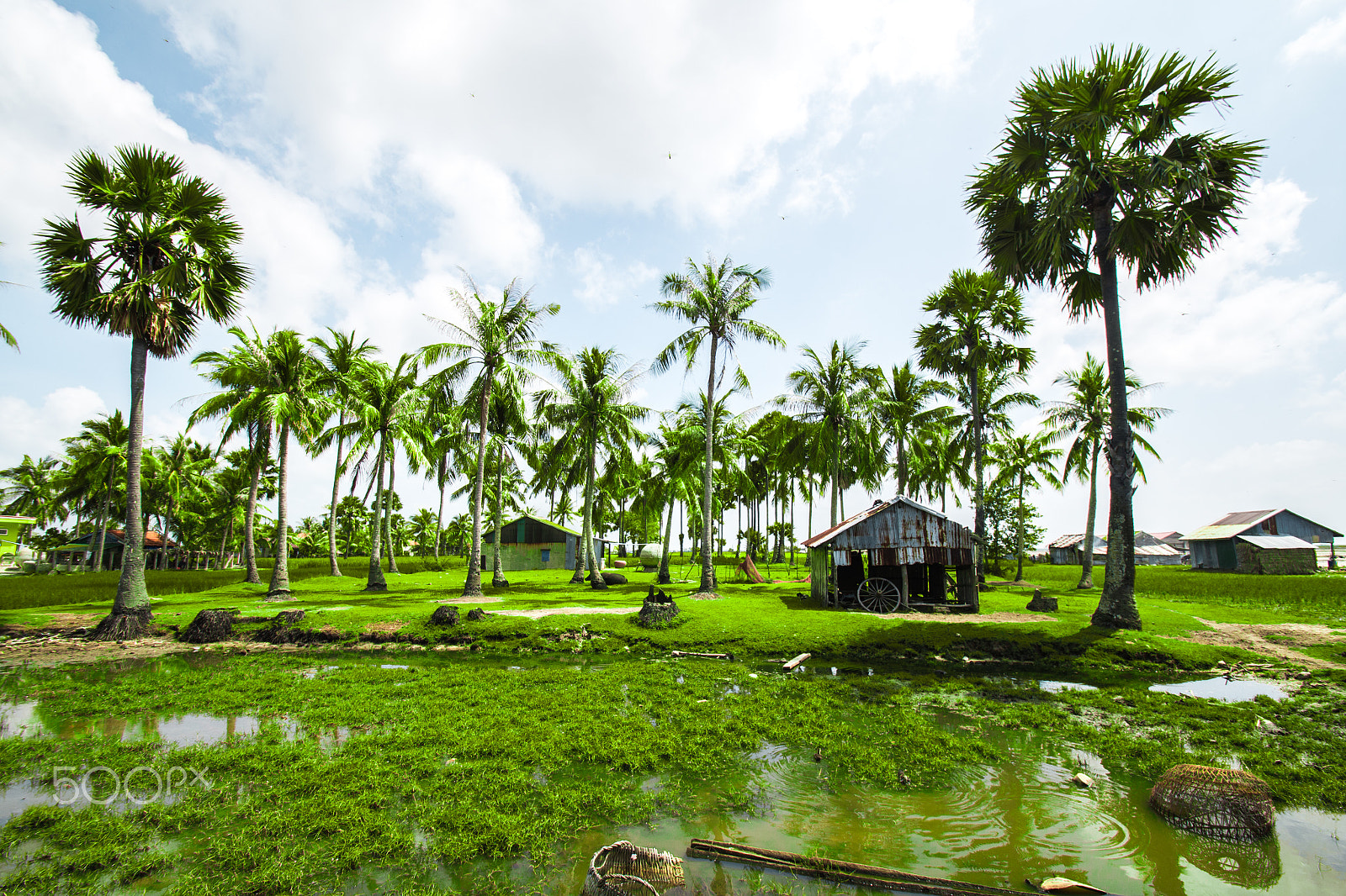 Nikon D800E sample photo. Cambodia landscape photography