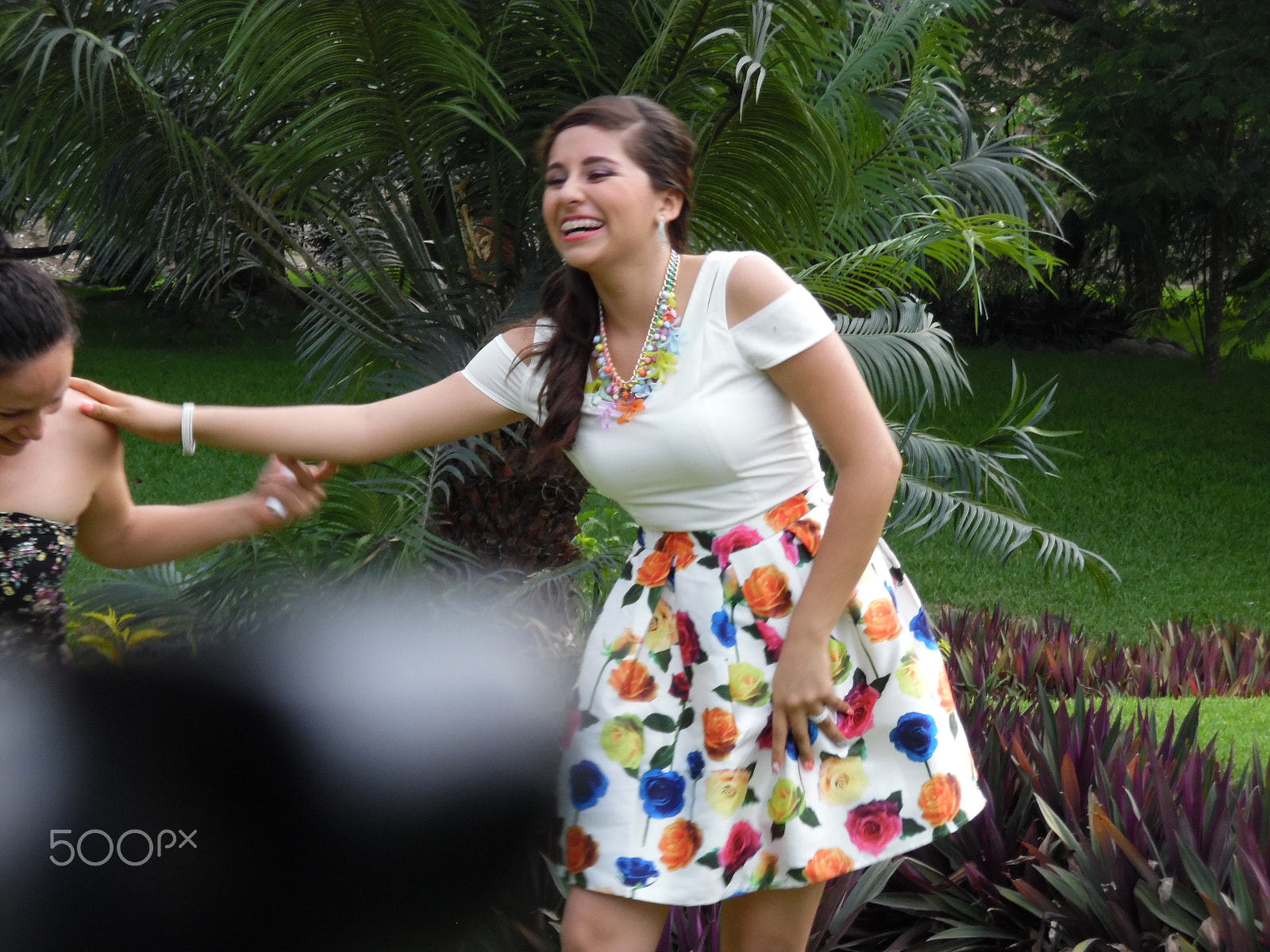 Samsung WB50F/WB51F/WB52F sample photo. Sam_3968.jpg photography