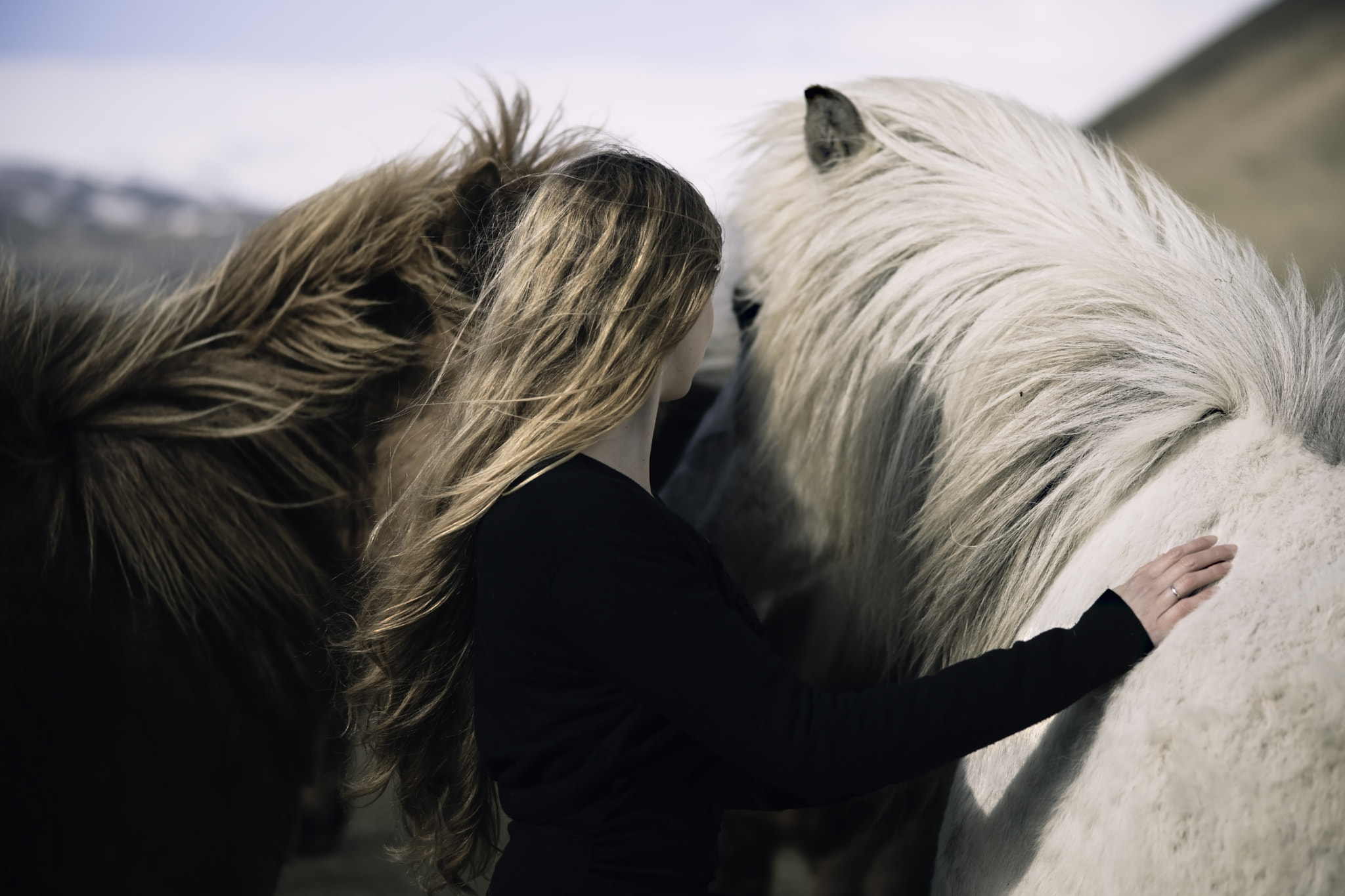 Sony Alpha DSLR-A900 + Sony 85mm F2.8 SAM sample photo. Icelandic friends photography