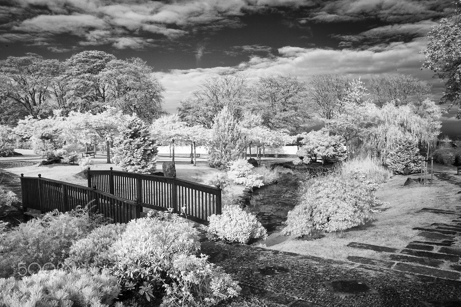 Canon EOS-1D Mark II sample photo. Japanese garden photography
