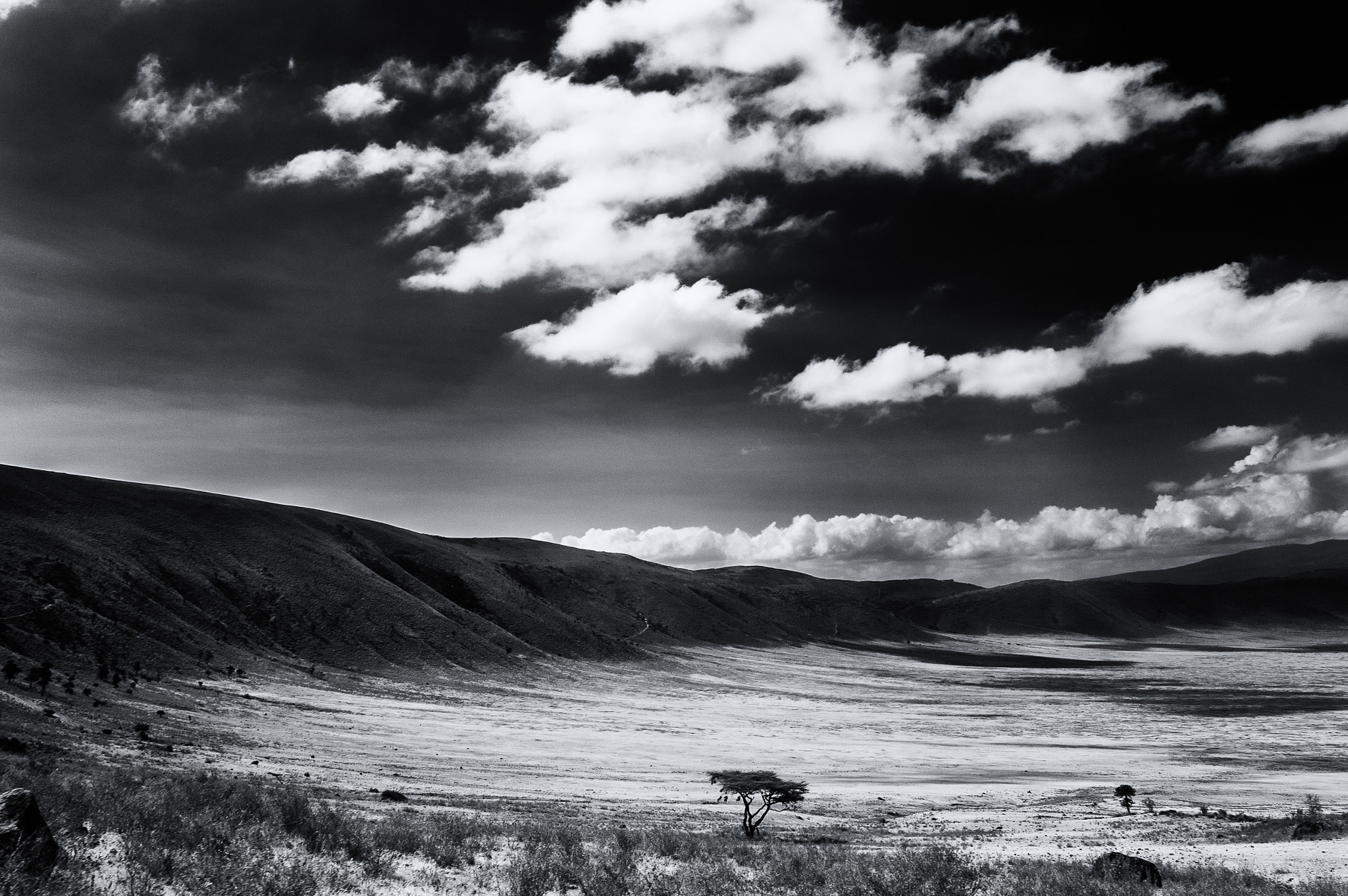 Sigma 24-70mm F2.8 EX DG HSM sample photo. Ngongoro national park and surrounding, tanzania photography