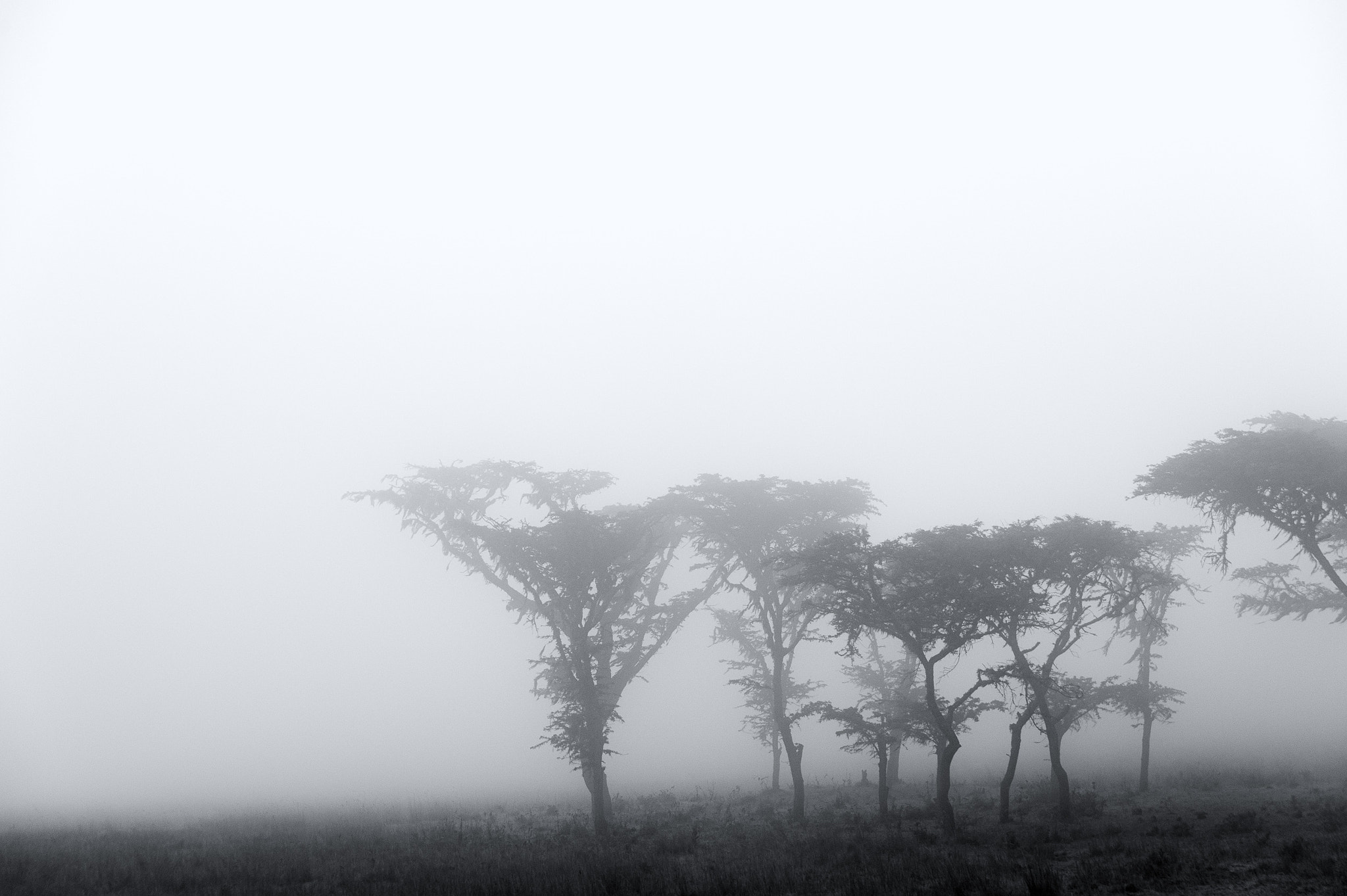 Sigma 24-70mm F2.8 EX DG HSM sample photo. Ngongoro national park and surrounding, tanzania photography