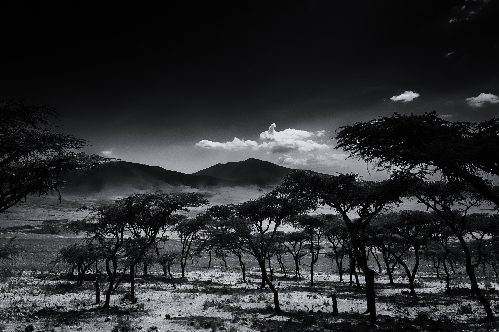 Sigma 24-70mm F2.8 EX DG HSM sample photo. Ngongoro national park and surrounding, tanzania photography