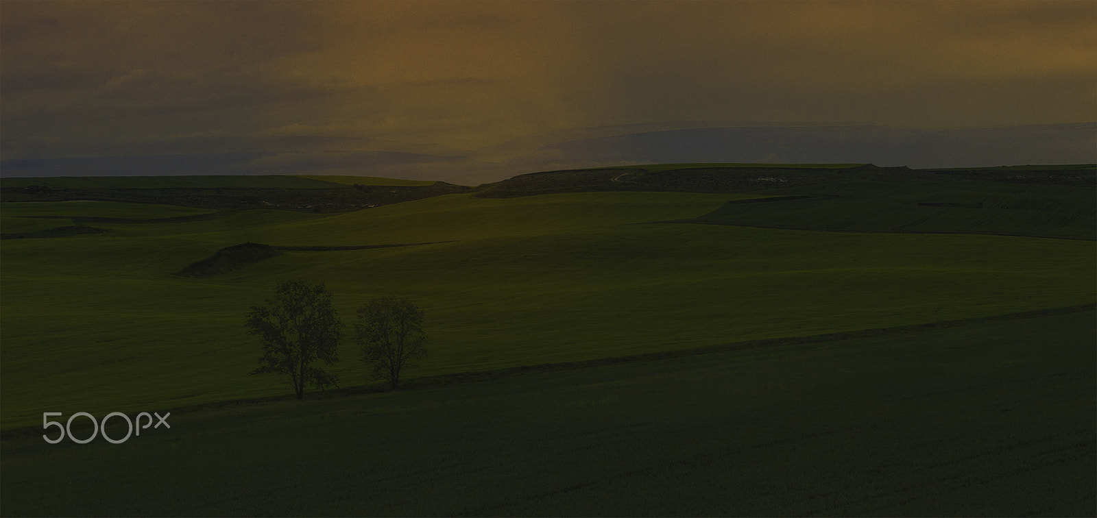 Sigma 70-200mm F2.8 EX DG OS HSM sample photo. Sunset in the field photography