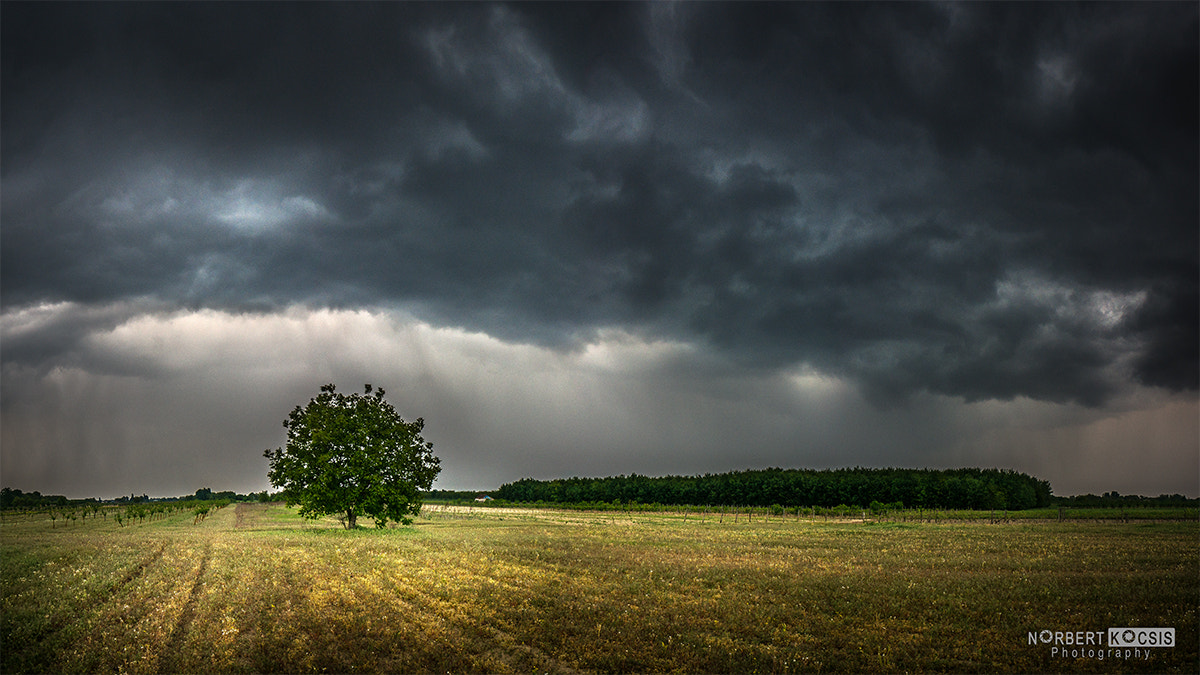 Sony Alpha NEX-6 + Sony E 16mm F2.8 sample photo. And the sky falling photography