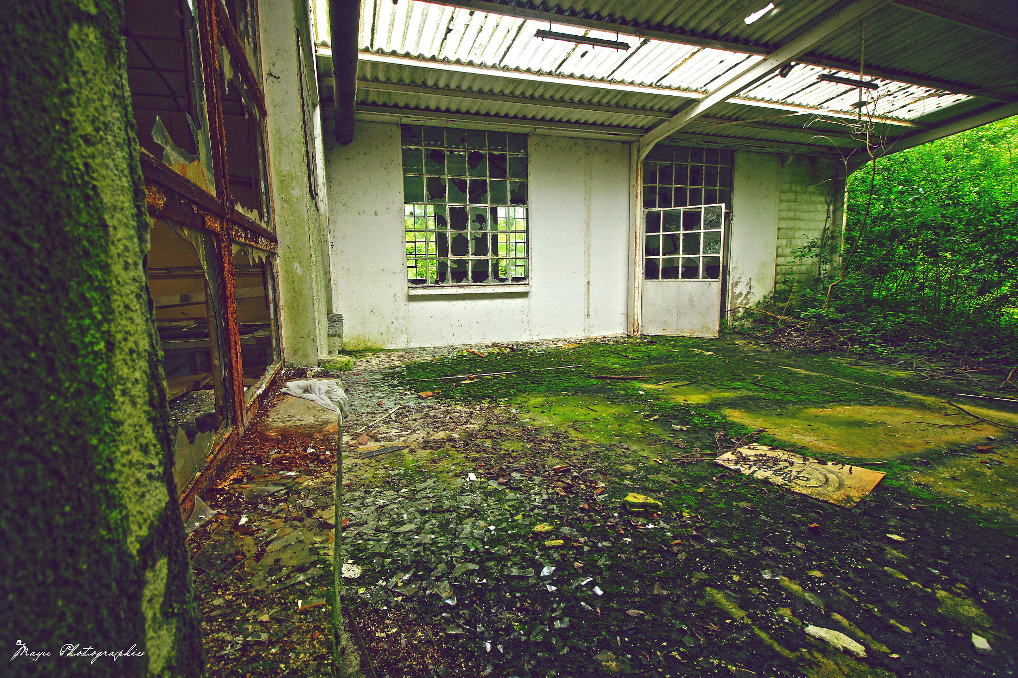 Canon EF-S 10-18mm F4.5–5.6 IS STM sample photo. Urbex 2 photography