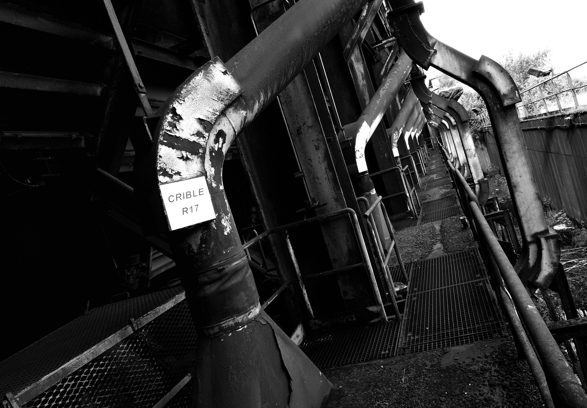 Nikon D60 sample photo. Vibrator photography