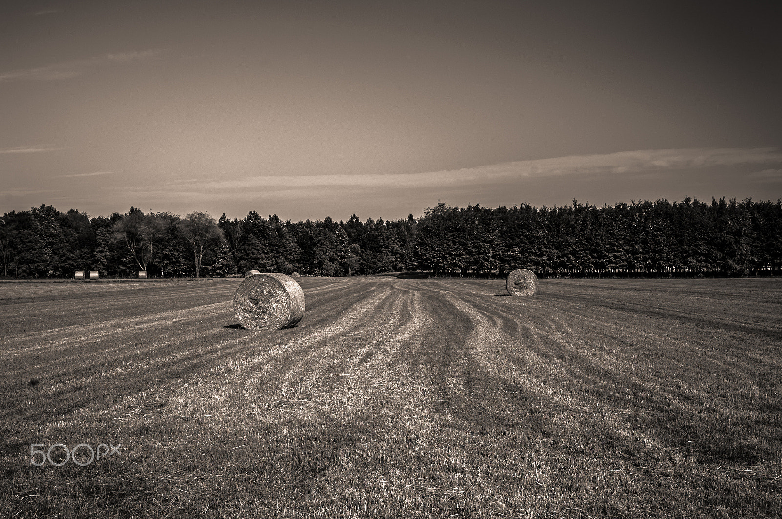 Nikon D300S sample photo. Hay in the middle of the lands... photography