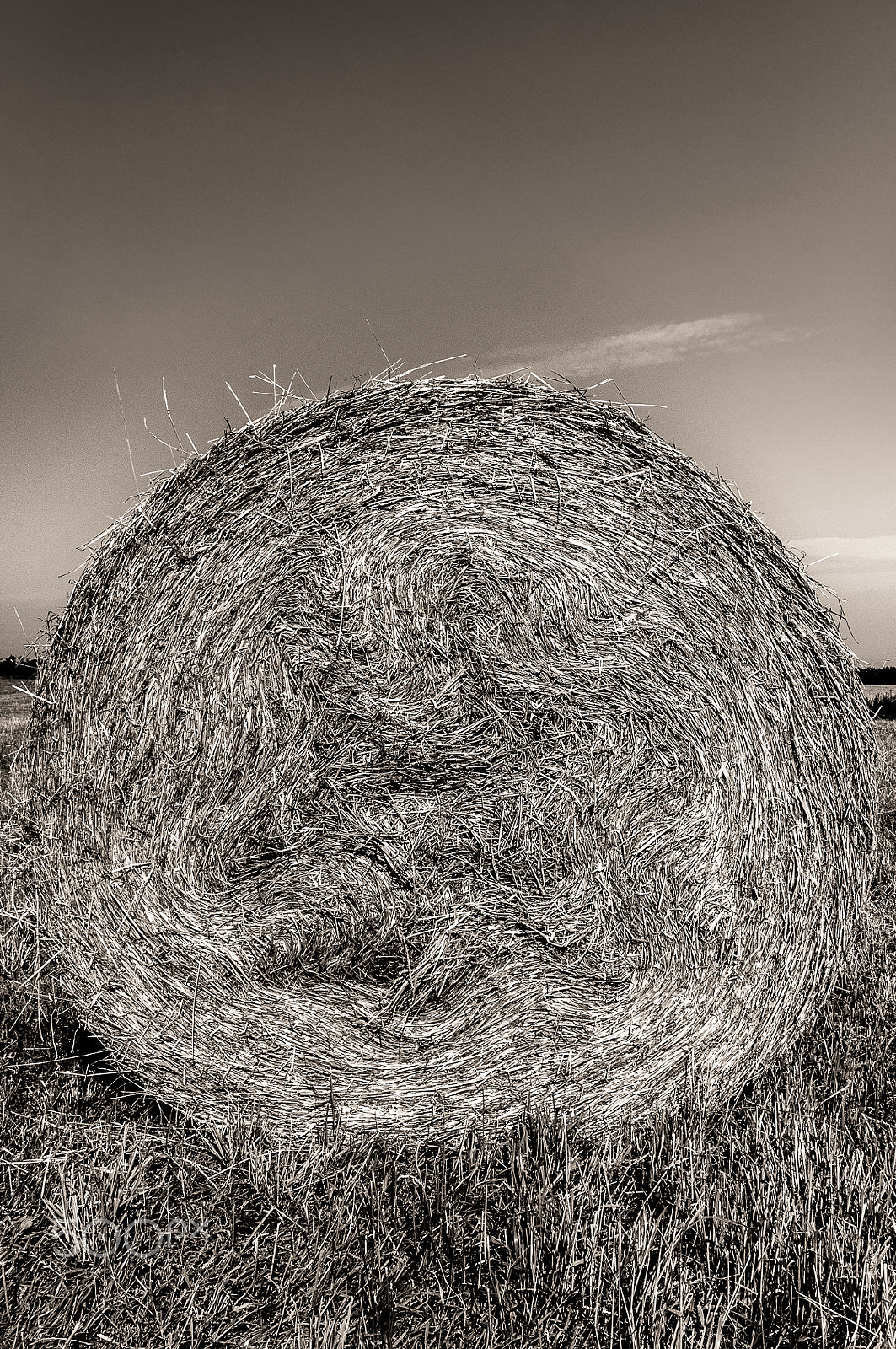Nikon D300S sample photo. Hay in the middle of the lands... photography