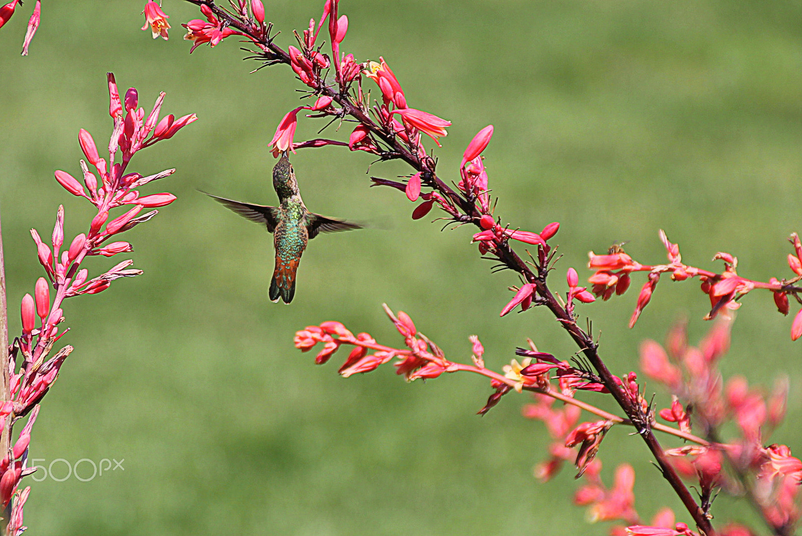 Canon EOS 1100D (EOS Rebel T3 / EOS Kiss X50) sample photo. Refueling photography