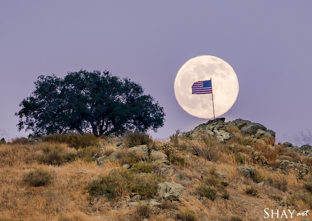 Sony a7R II + Sony 70-400mm F4-5.6 G SSM II sample photo. Old glory photography